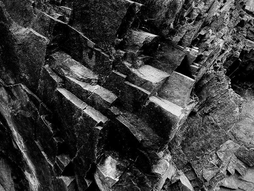 PETRIFICADOS - 1 - 13