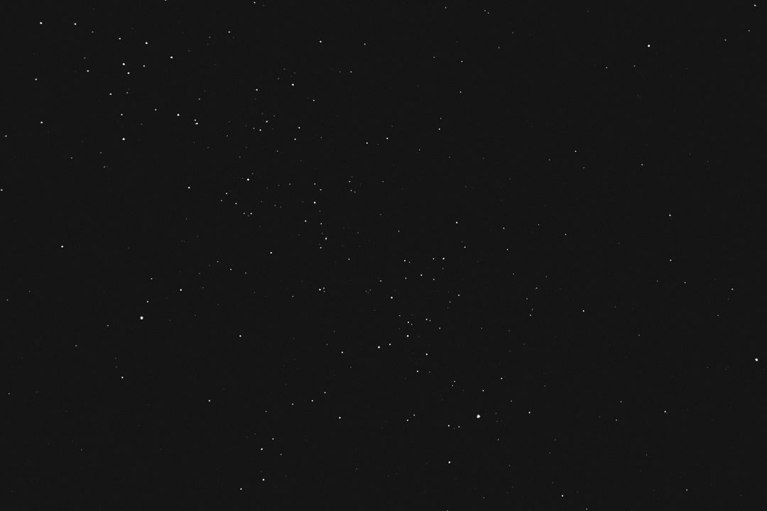 Ilha do Cardoso - Caiçara - 1 - 19