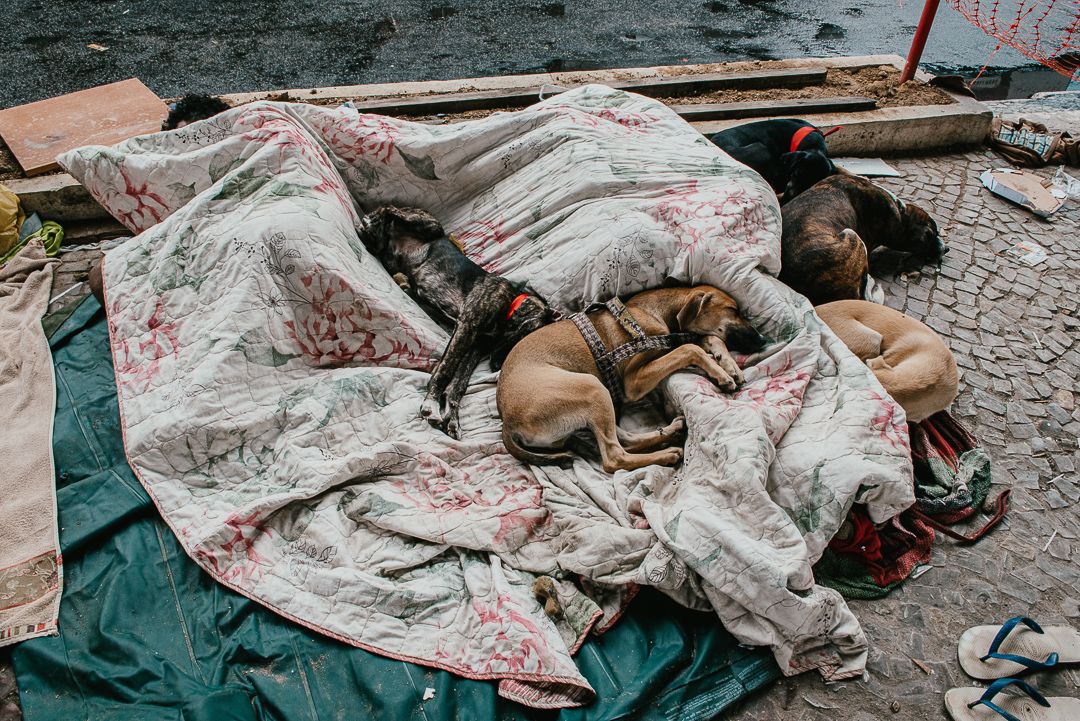 Debaixo da Terceira Ponte. - 1 - 33