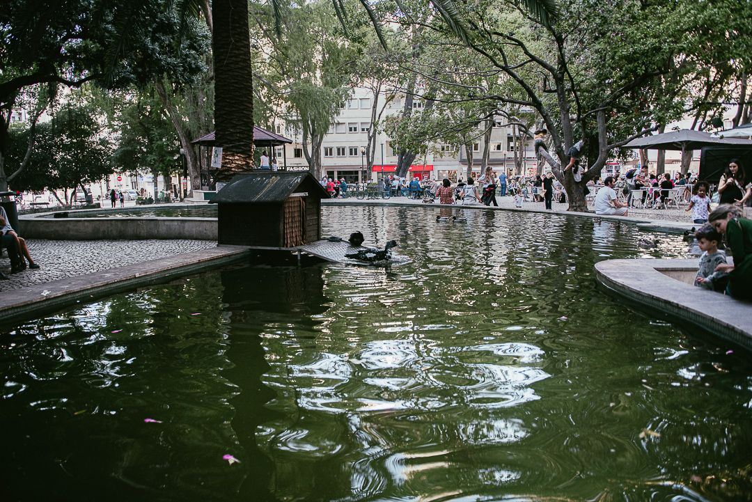 Jogadores de Carta - 1 - 0