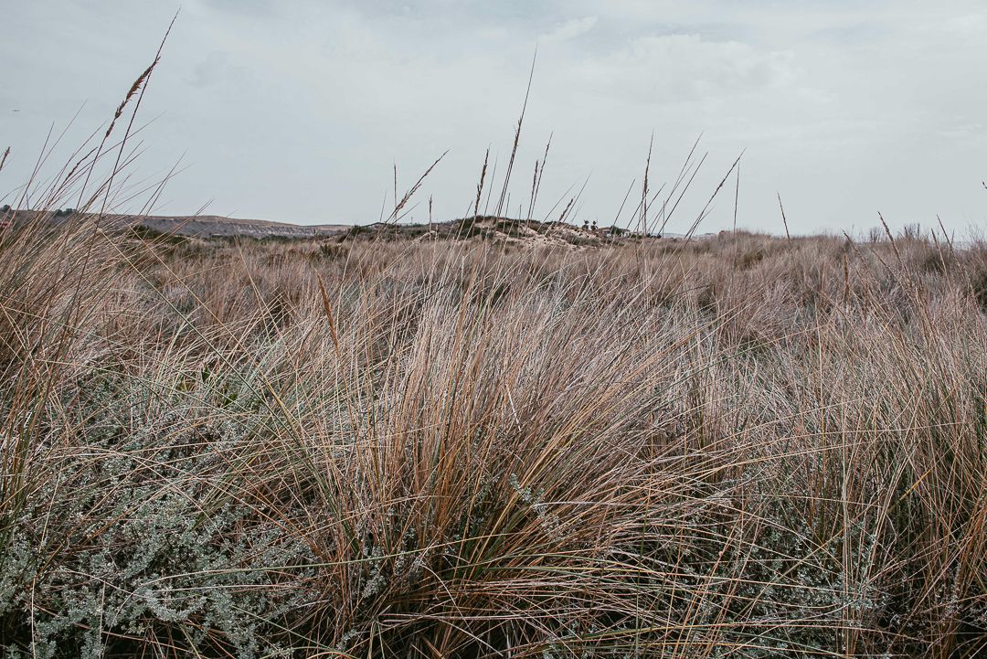 Olha a Bola de Berlim - 1 - 6