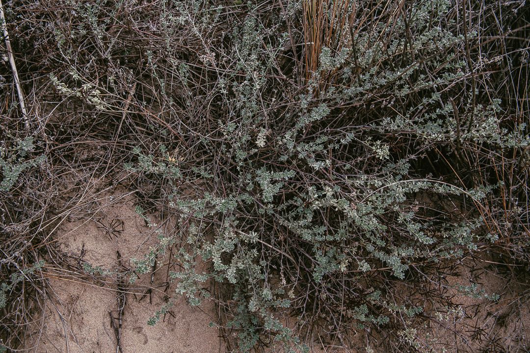 Olha a Bola de Berlim - 1 - 7