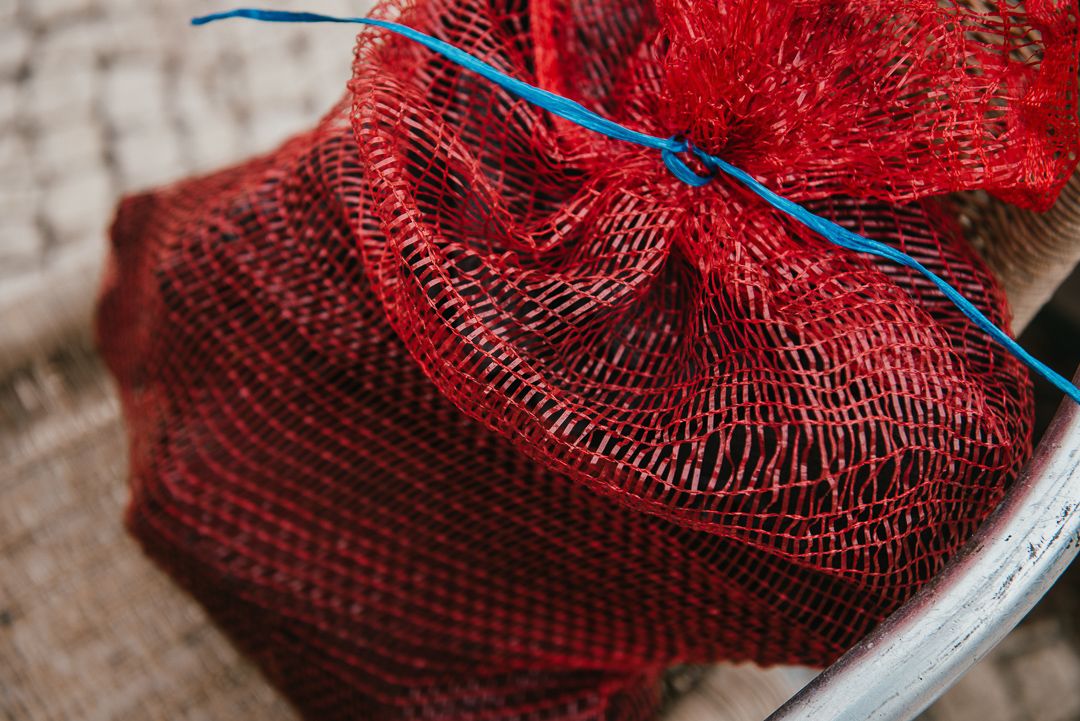 Tiago das Castanhas Assadas - 1 - 7