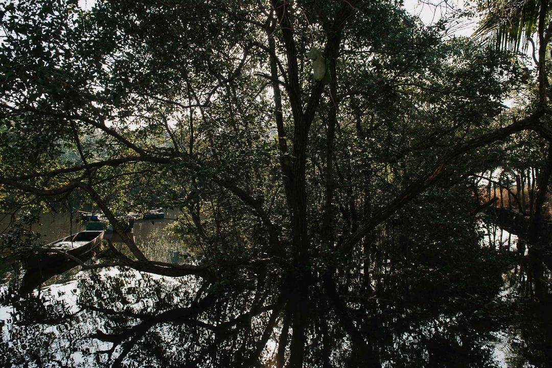 Crianças Brincando no Mangue. - 1 - 10