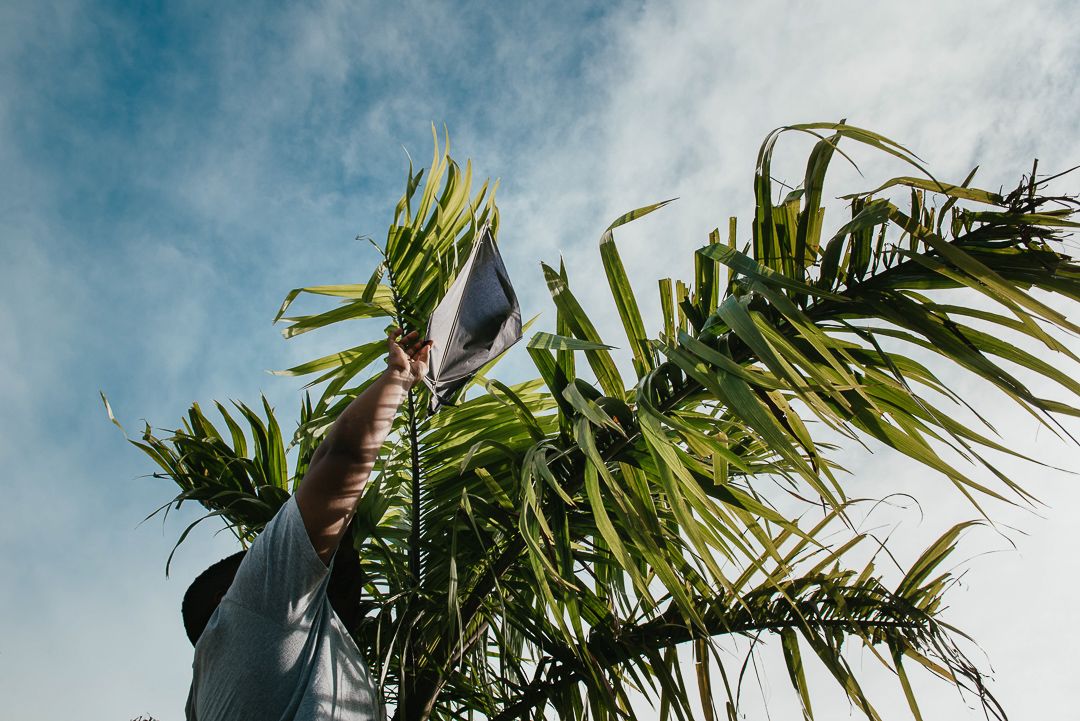 Soltando Pipa de Dia - 1 - 14