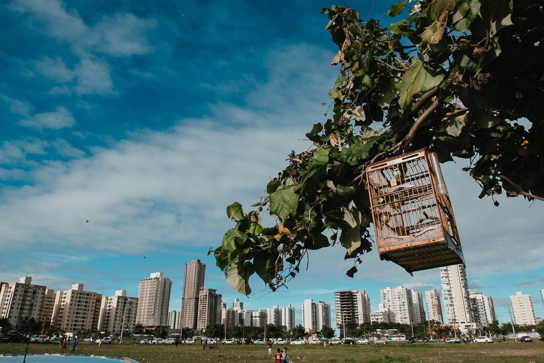 Soltando Pipa de Dia - 1 - 19