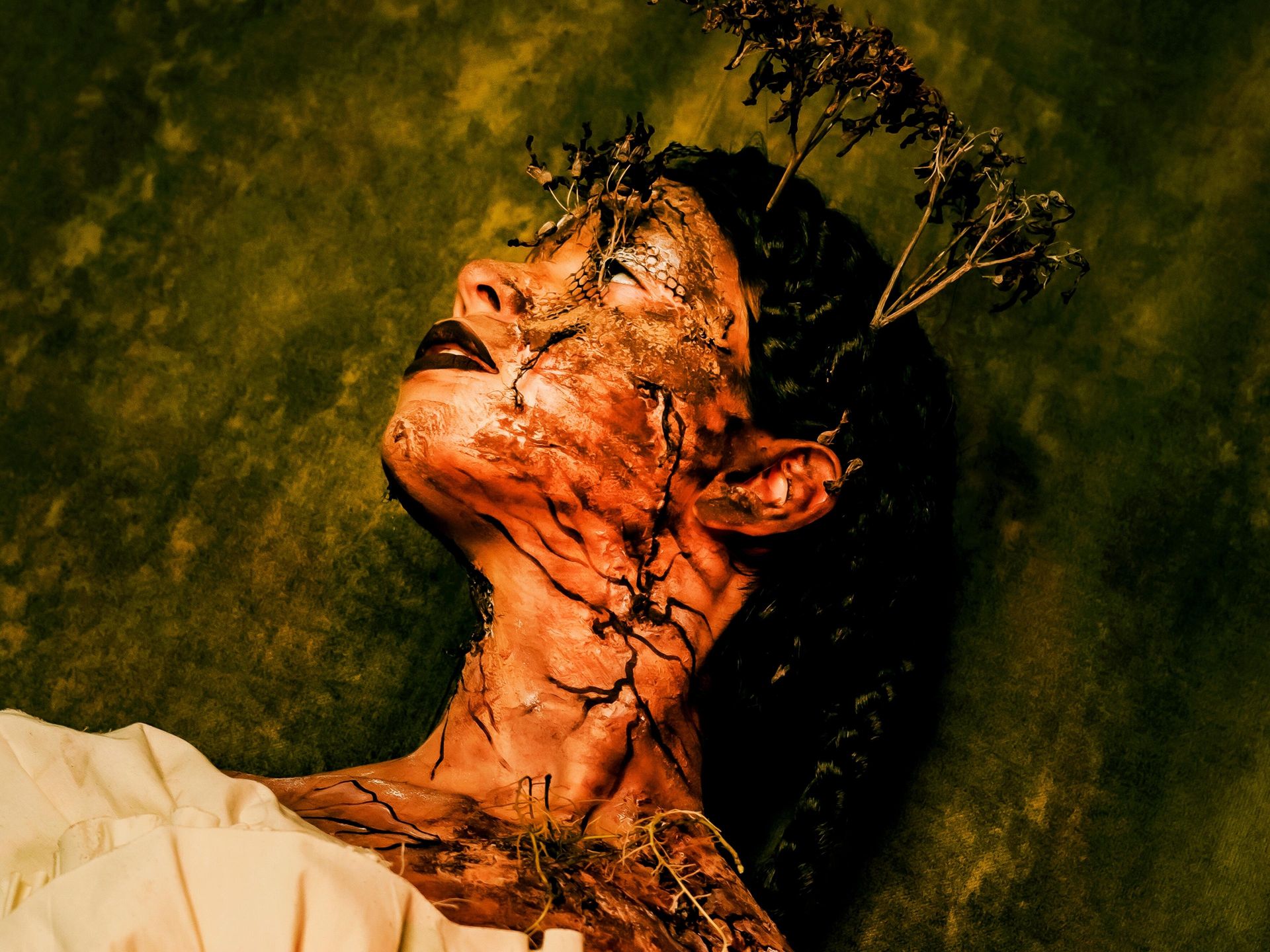 Metamorfose da Emancipação - 1 - 12