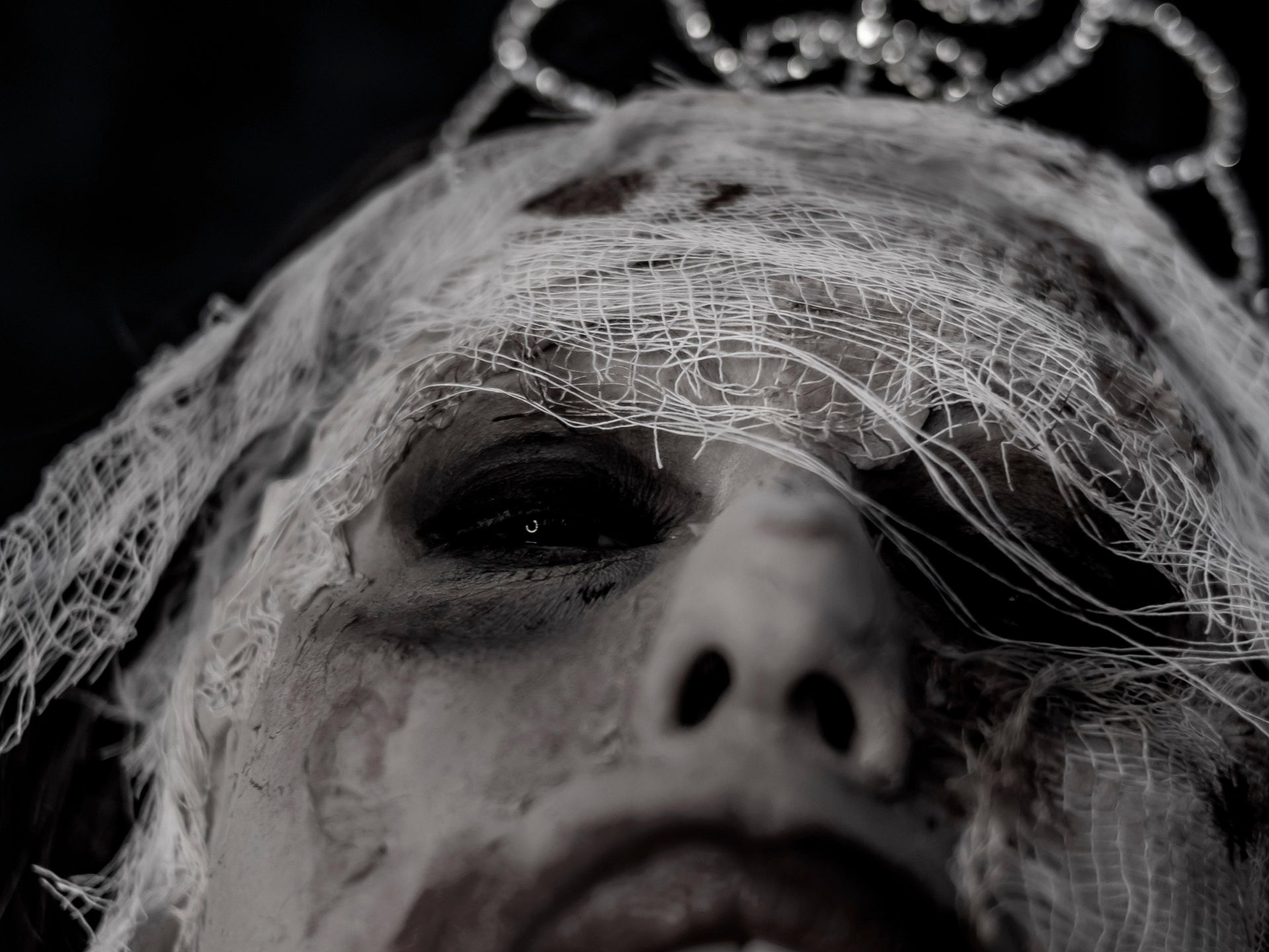 Metamorfose da Emancipação - 1 - 5