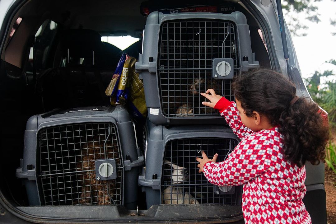 Rio Grande do Sul, que sejamos grandes com e por você. - 9 - 2