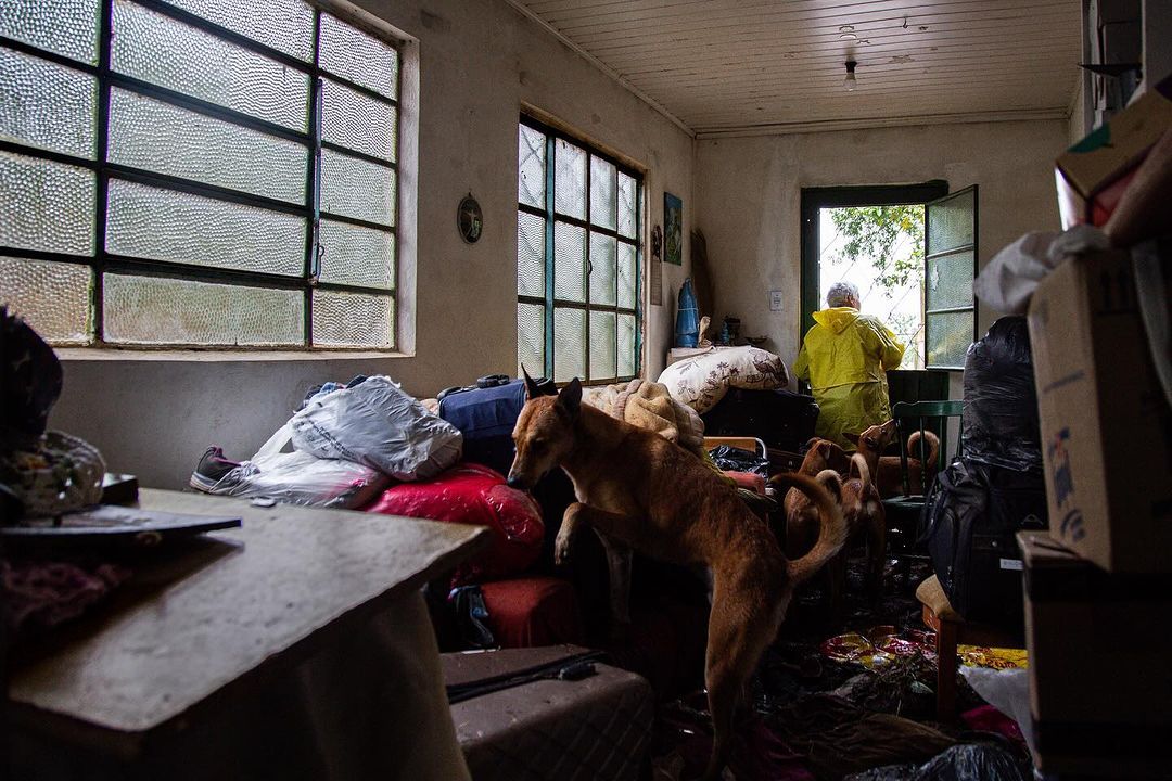 Rio Grande do Sul, que sejamos grandes com e por você. - 9 - 2