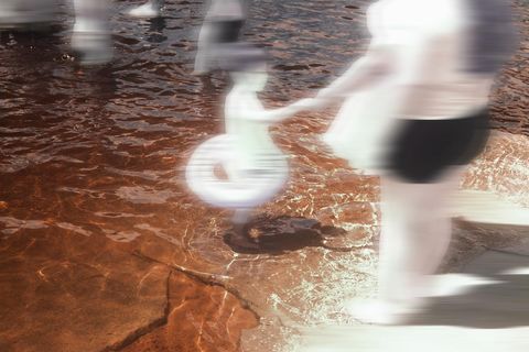 Domestic Nature - 3 - 1