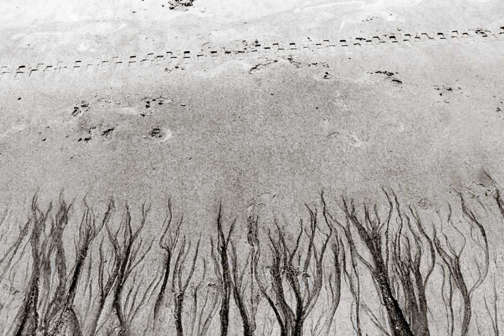 ESPORO - Cape Verde Migratory Exodus by António Cruz - 2 - 1