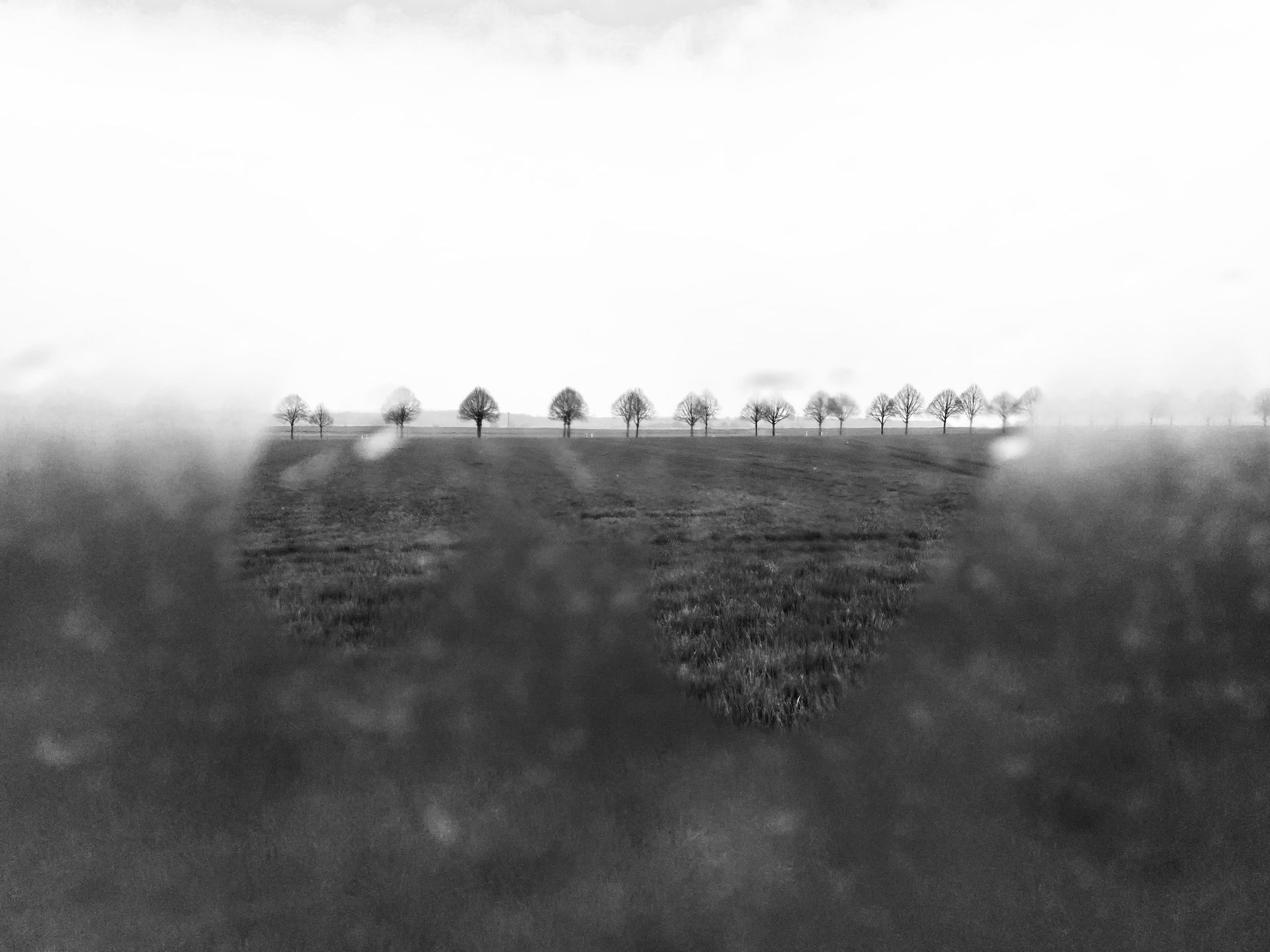 ESPORO - Cape Verde Migratory Exodus by António Cruz - 2 - 5