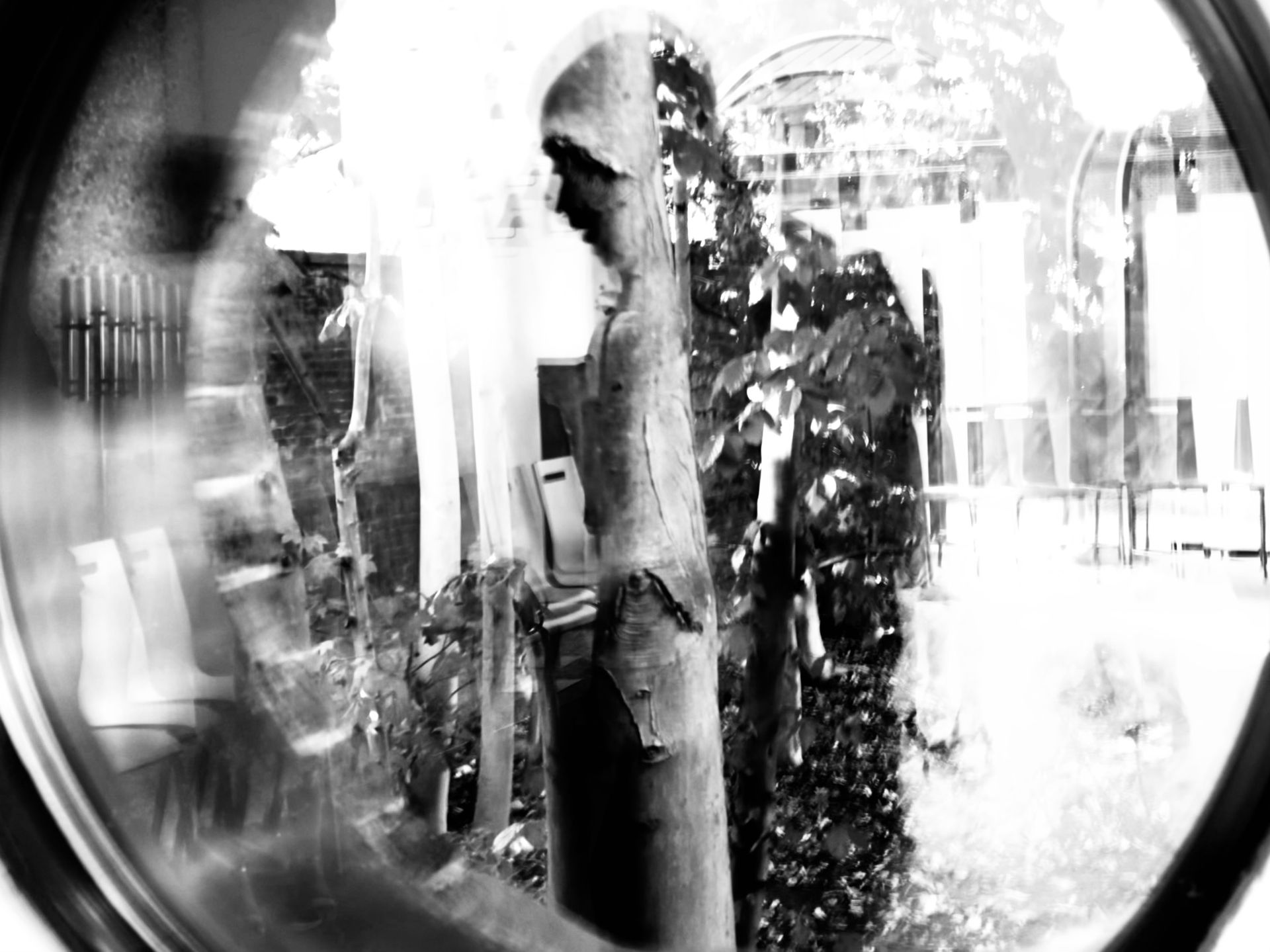 ESPORO - Cape Verde Migratory Exodus by António Cruz - 2 - 53