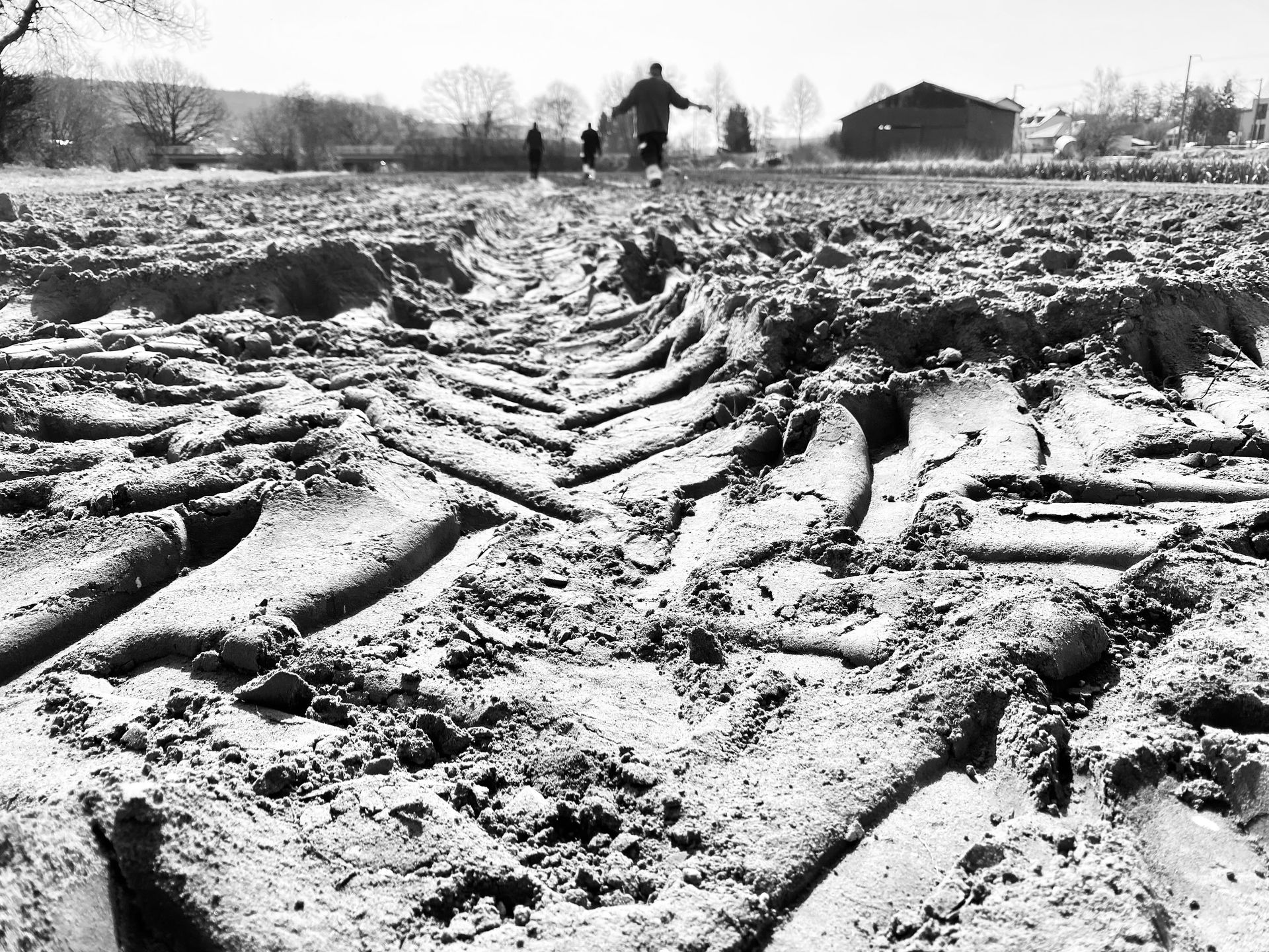 ESPORO - Cape Verde Migratory Exodus by António Cruz - 2 - 20