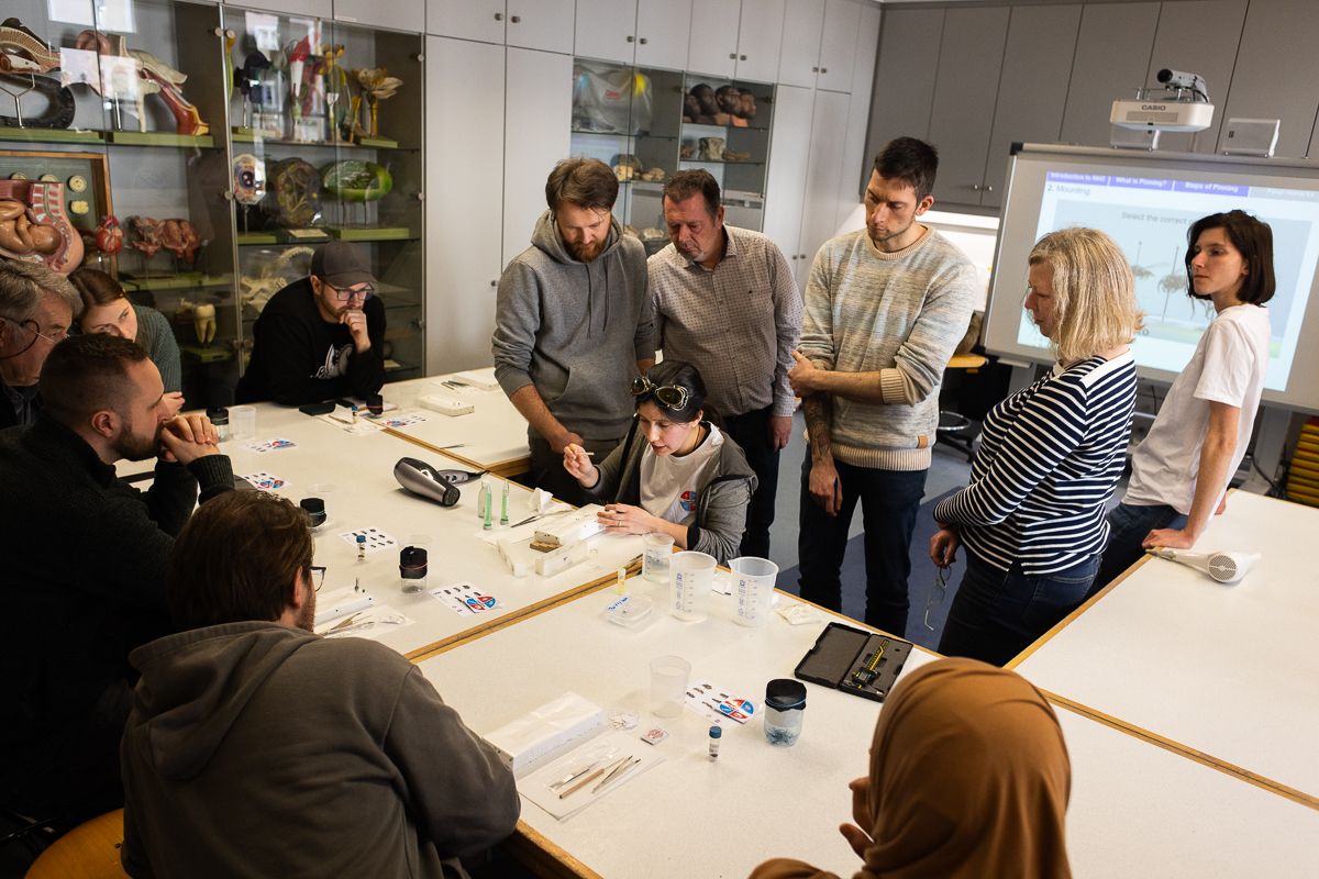 WILD BEES: The Ongoing  Decline and Efforts of Biologists, Ecologists and Conservationists to break the thread in Europe by António Cruz - 2 - 10