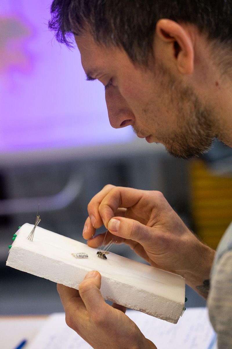 WILD BEES: The Ongoing  Decline and Efforts of Biologists, Ecologists and Conservationists to break the thread in Europe by António Cruz - 2 - 15