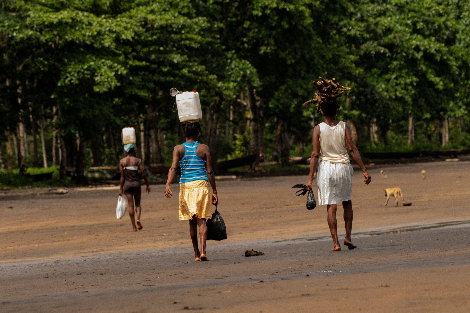 PROMISED LAND: The remnants of modern slavery in São Tomé /capital of São Tomé and Principe -Gulf of Guinea by António Cruz - 2 - 3