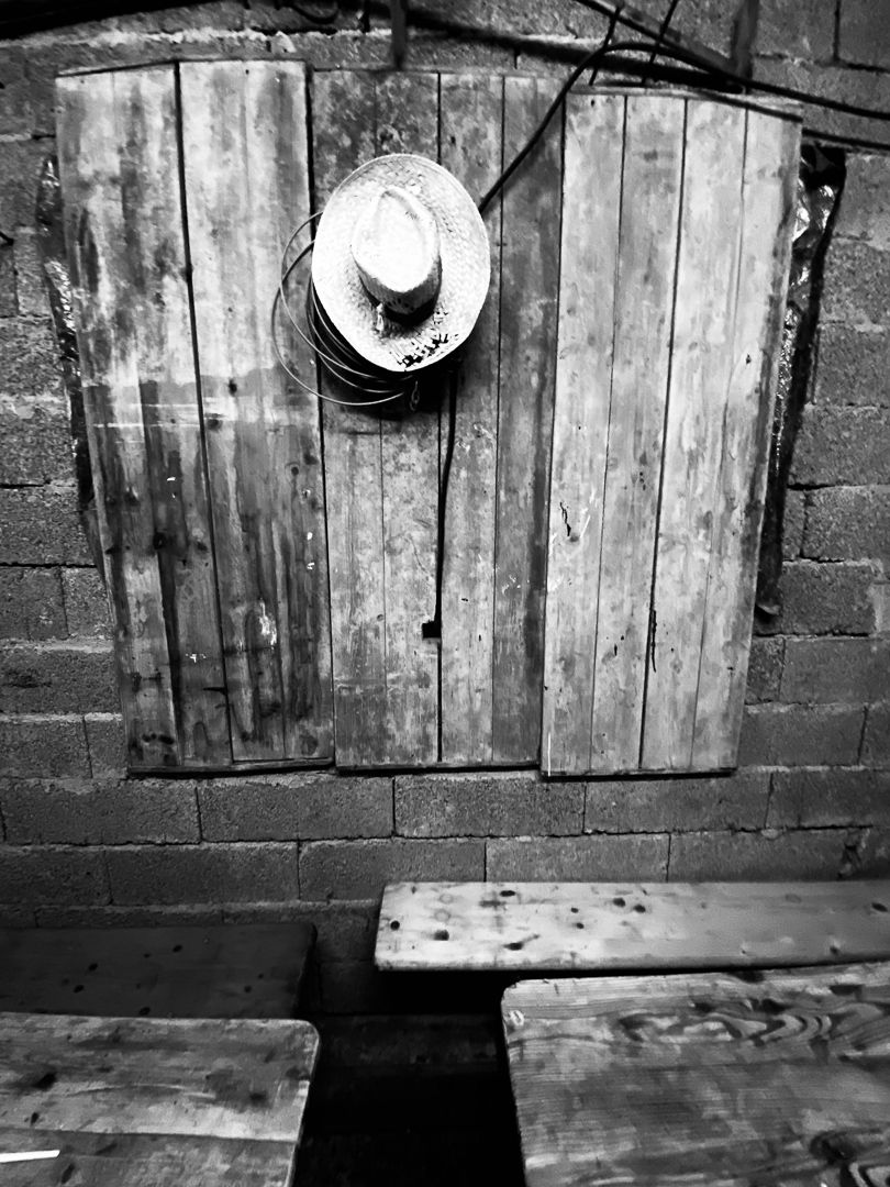 ESPORO - Cape Verde Migratory Exodus by António Cruz - 2 - 62