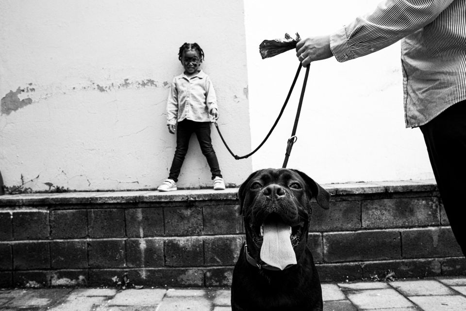 ESPORO - Cape Verde Migratory Exodus by António Cruz - 2 - 64