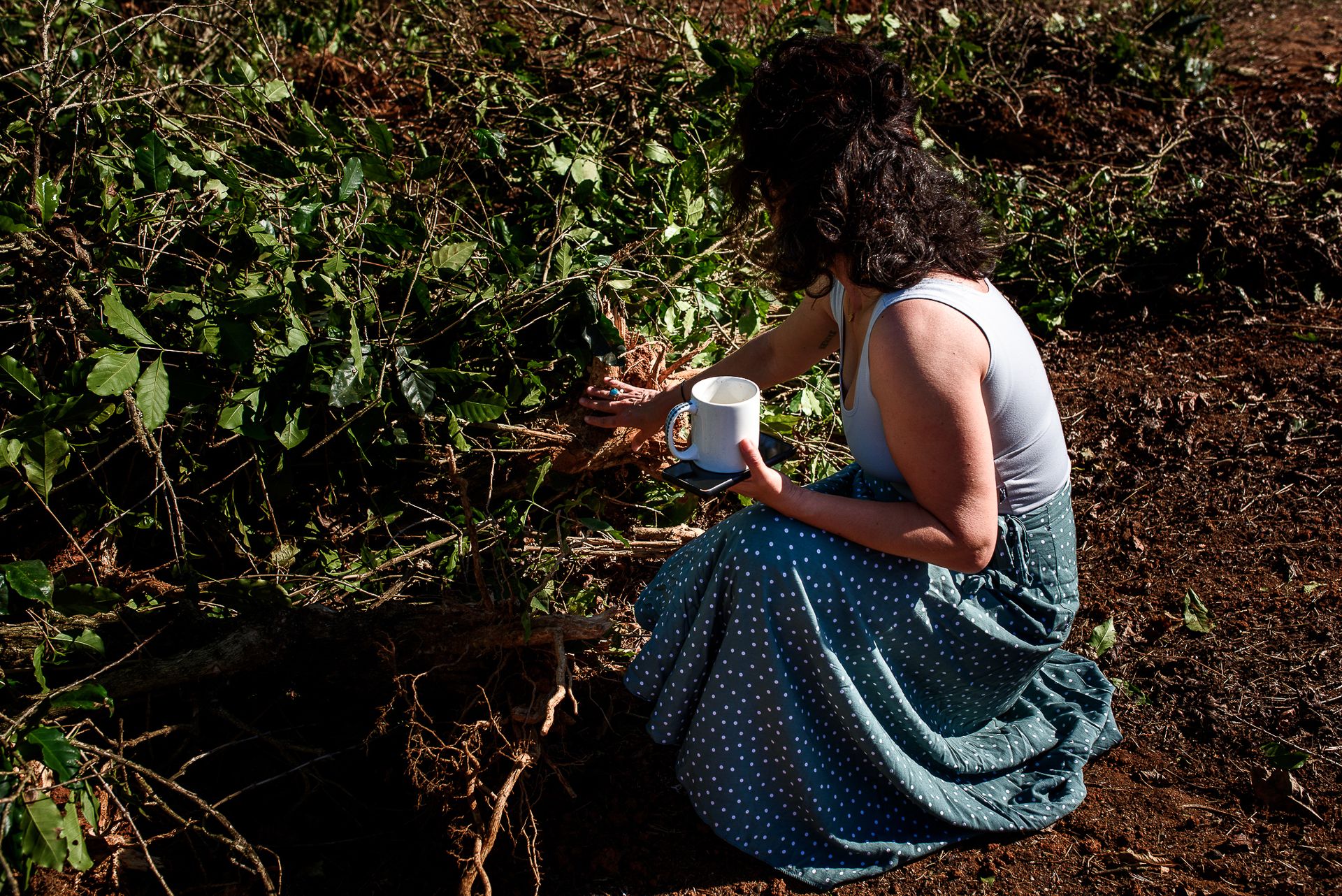 MATRIARCHS OF THE COFFEE FIELDS : the social shift on the leadership and identity of a powerful conservative industry by Monique Olive - 2 - 10