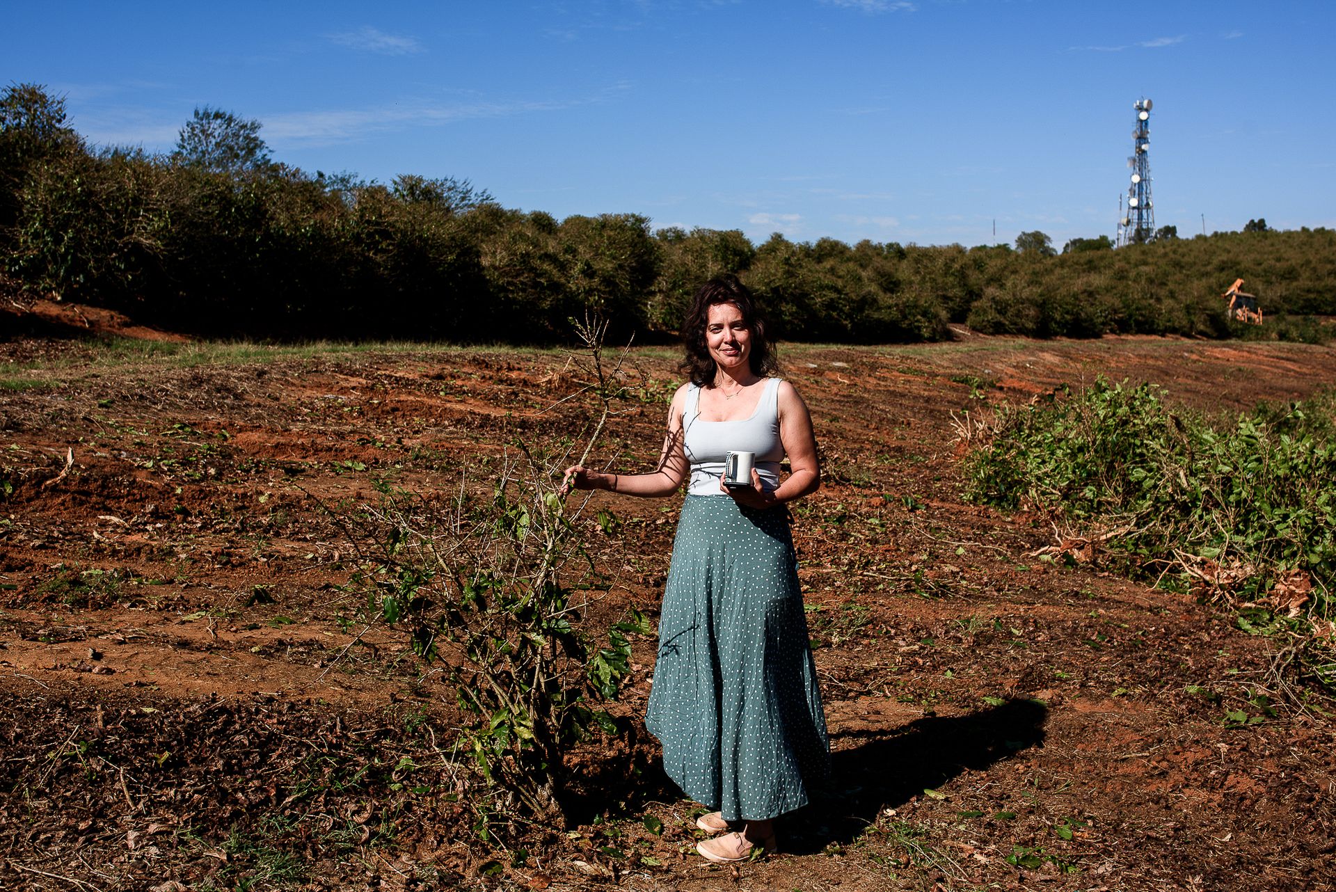 MATRIARCHS OF THE COFFEE FIELDS : the social shift on the leadership and identity of a powerful conservative industry by Monique Olive - 2 - 9