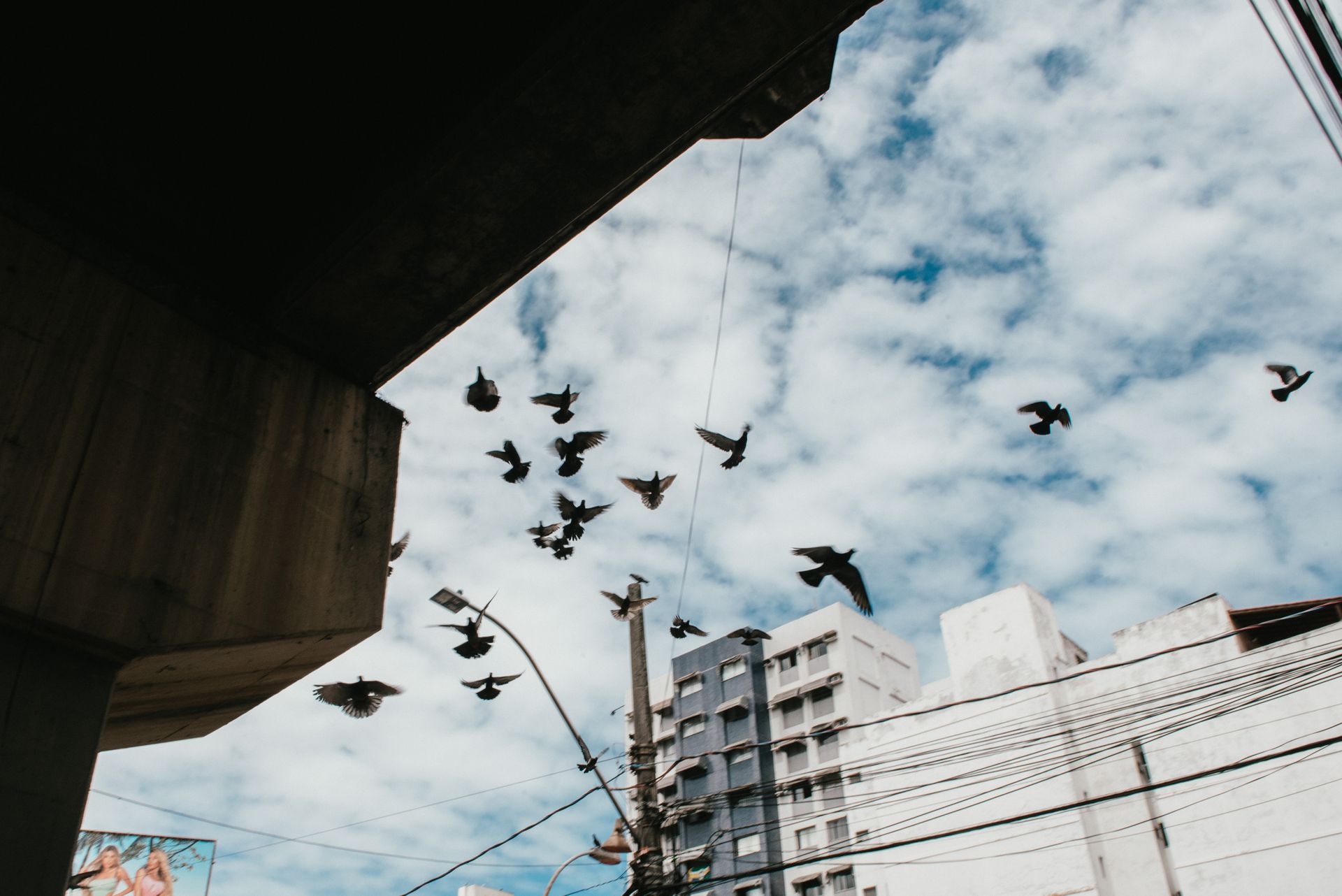 SOCIAL MAKE-UP:  The reflex of the urban crisis in major cities of Brazil by Ana Montez - 2 - 10