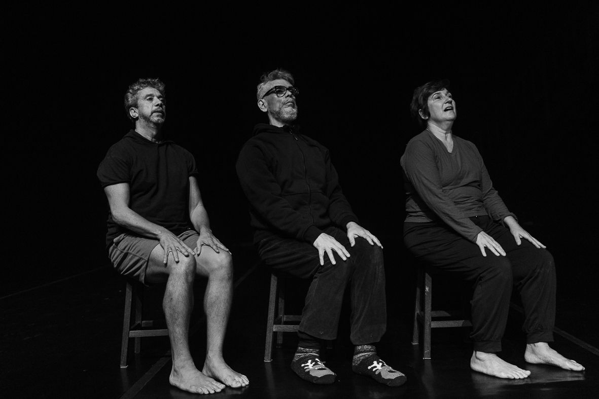 EXPIRATION DATE: The backstage of the Ageism in the Dance Scene in Brazil by Carol Pires - 2 - 31