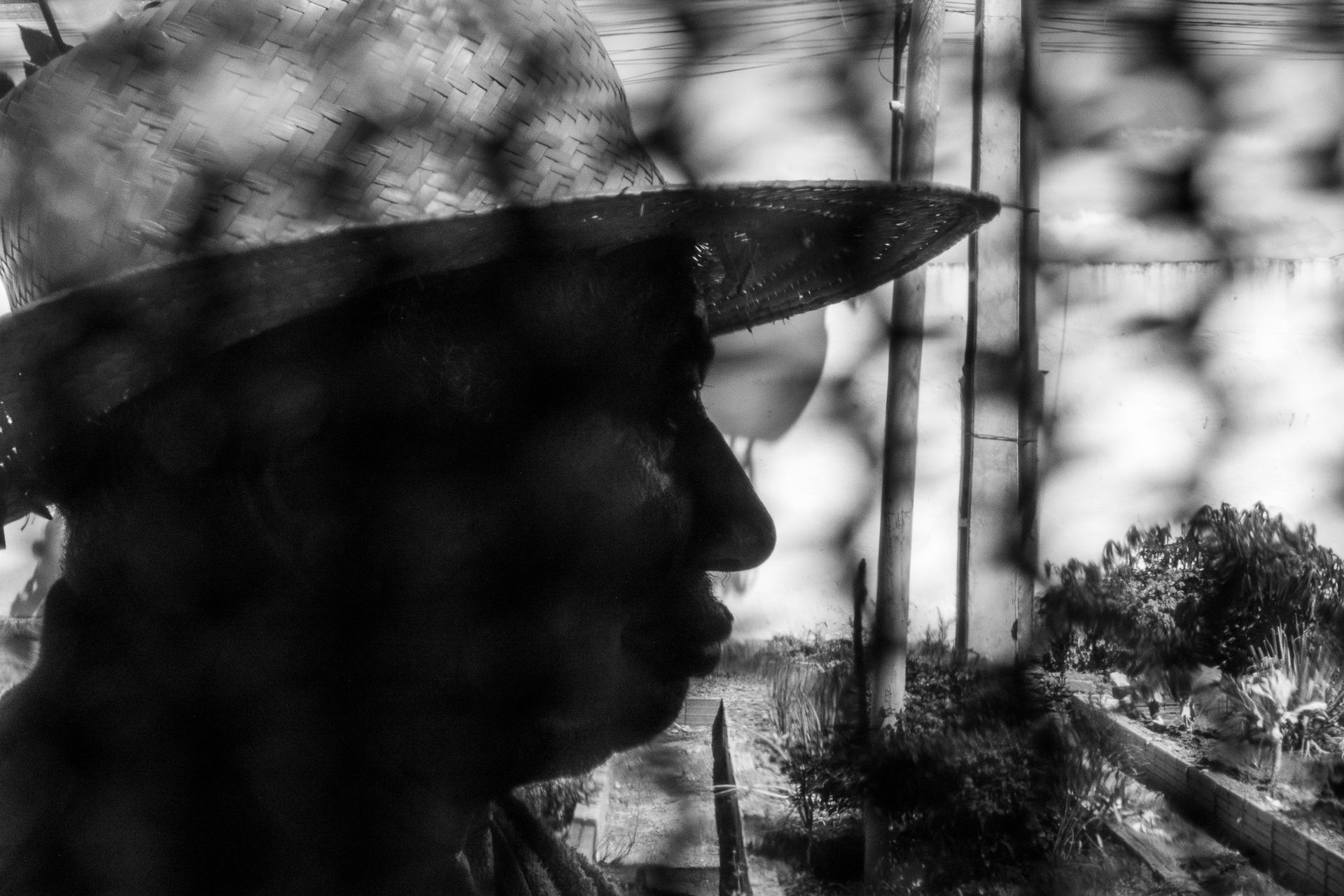 THE LAST STATION by Pri Ribeiro-  long-term care facilities and the challenges to ensure quality of life to older adults dealing with economic and mental vulnerabilities . - 2 - 4