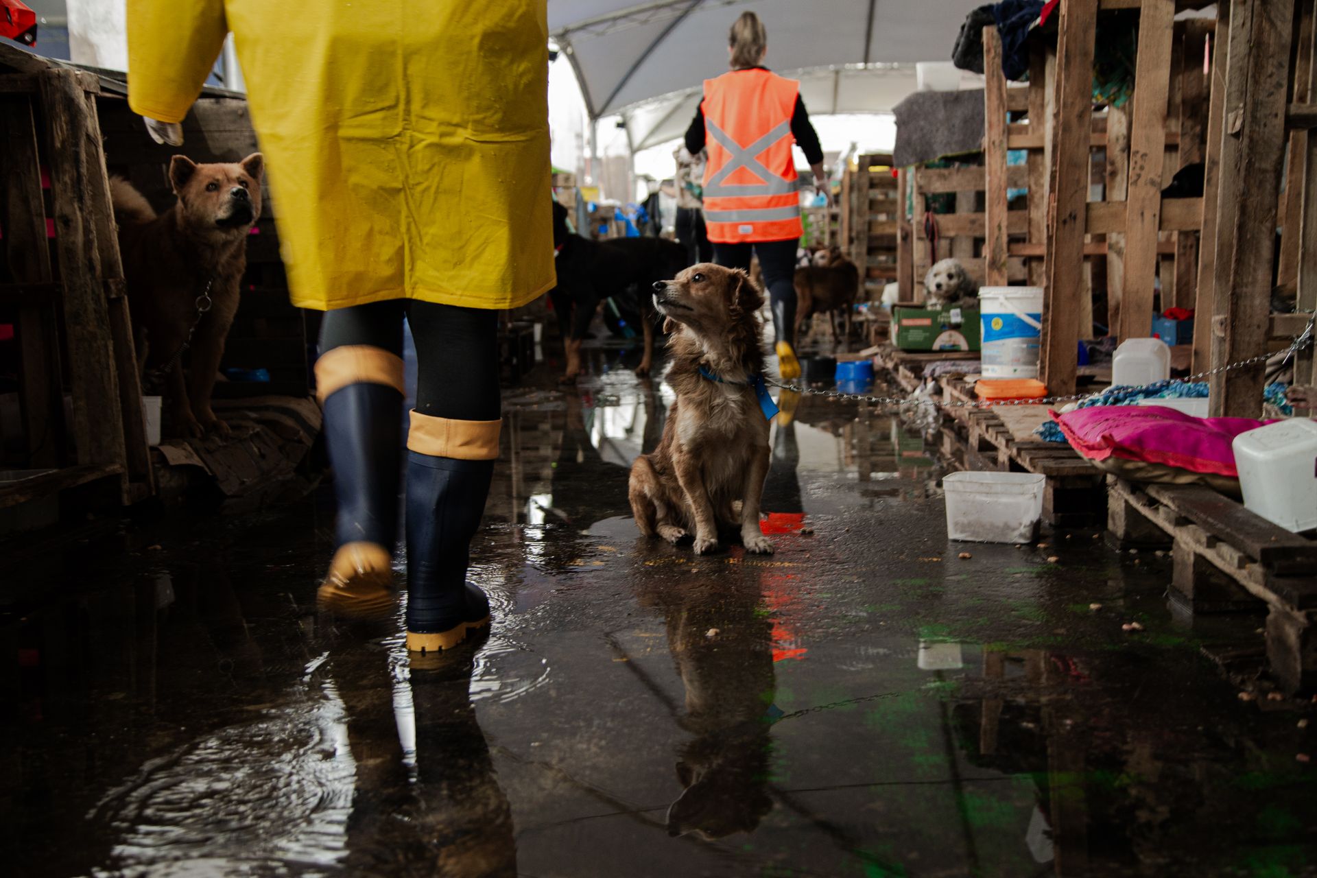 CLIMATE VULNERABILITY: The portrait of the South of Brazil, constantly susceptible to natural disasters, as tipping point of the climate emergential crisis impacting Brazilian lives. - 2 - 24