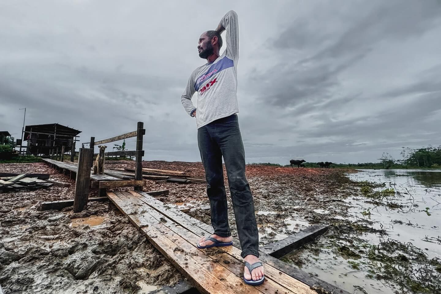 The Human Vulnerability and Power in Photography - 3 - 0