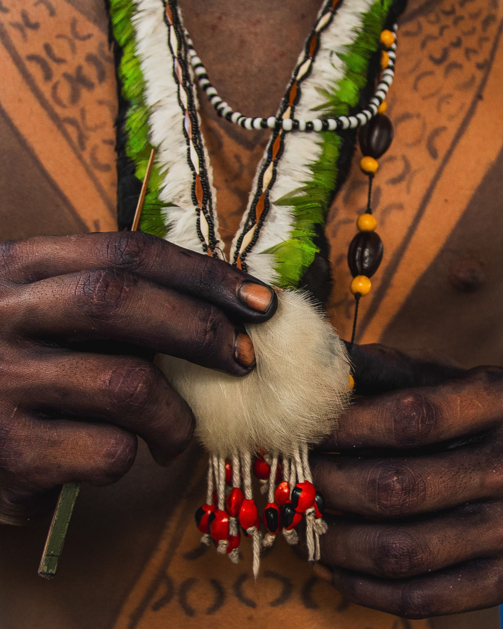 NORTHERN BRAZIL: IDENTITY UNDER CLIMATE PRESSURE a long term investivagion of silent effects of the new transformative landscape of the North of Brazil dealing with its endangered traditions, ecosystems and human stories by Nádia Borborema - 2 - 8