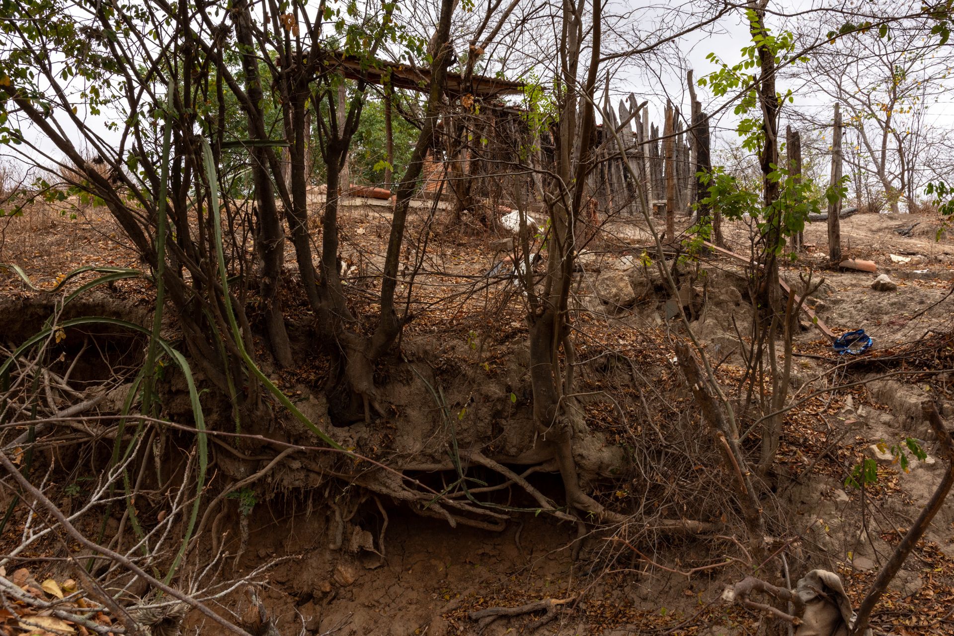 THE HUMAN AND ENVIRONMENTAL COST OF LITHIUM:A long-term investigation into the silent environmental and social challenges surrounding lithium extraction in Brazil, by Priscila Ribeiro. - 2 - 19