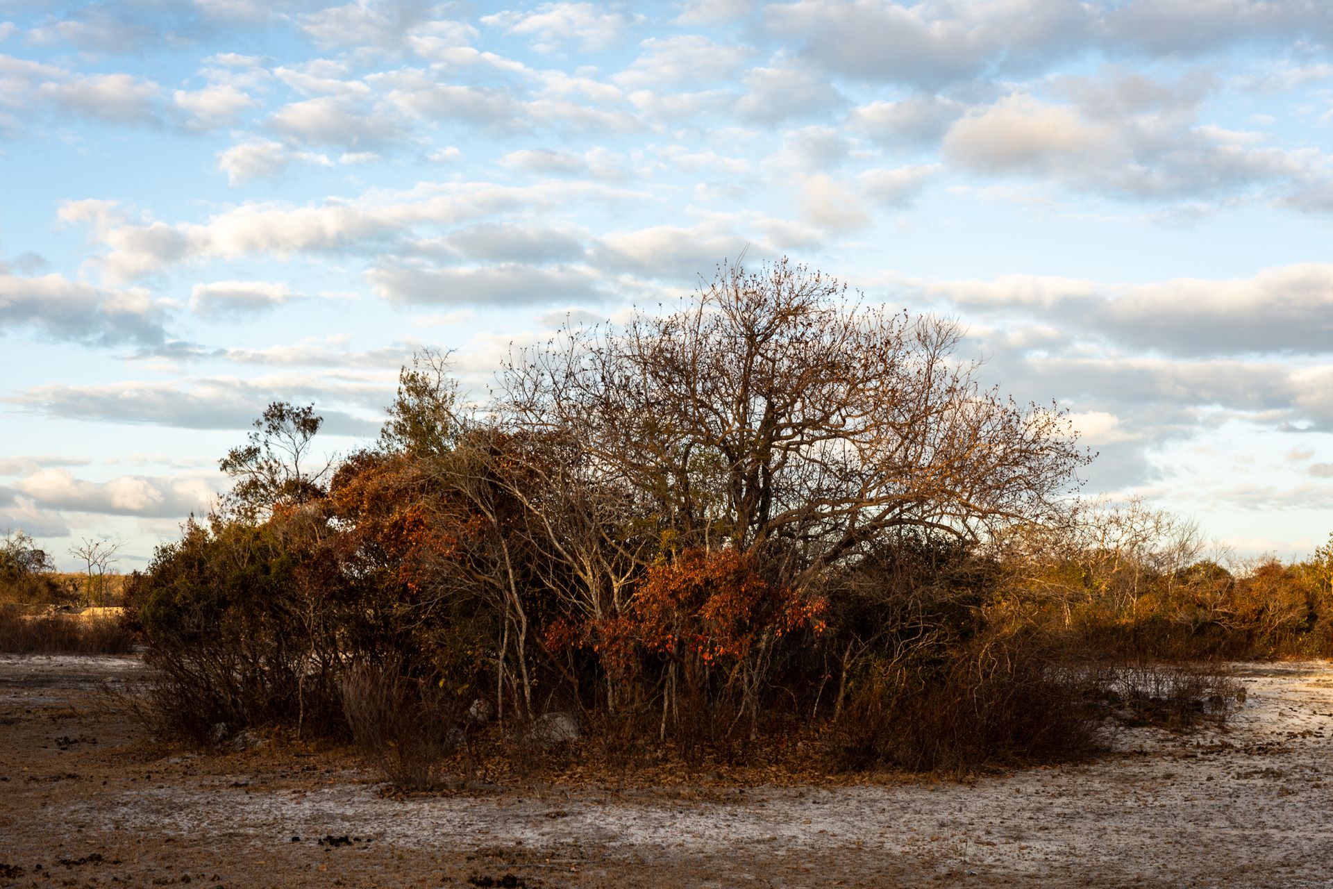 THE HUMAN AND ENVIRONMENTAL COST OF LITHIUM:A long-term investigation into the silent environmental and social challenges surrounding lithium extraction in Brazil, by Priscila Ribeiro. - 2 - 22