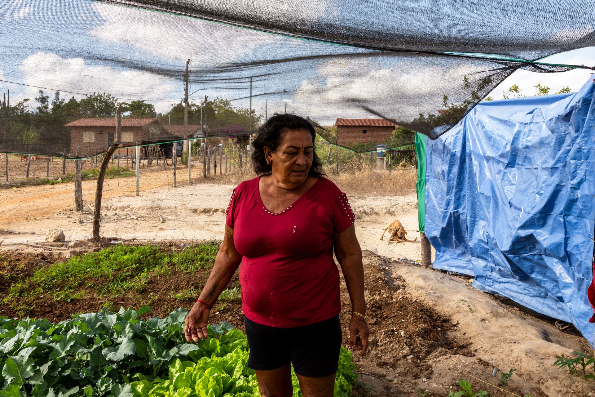 THE HUMAN AND ENVIRONMENTAL COST OF LITHIUM:A long-term investigation into the silent environmental and social challenges surrounding lithium extraction in Brazil, by Priscila Ribeiro. - 2 - 2