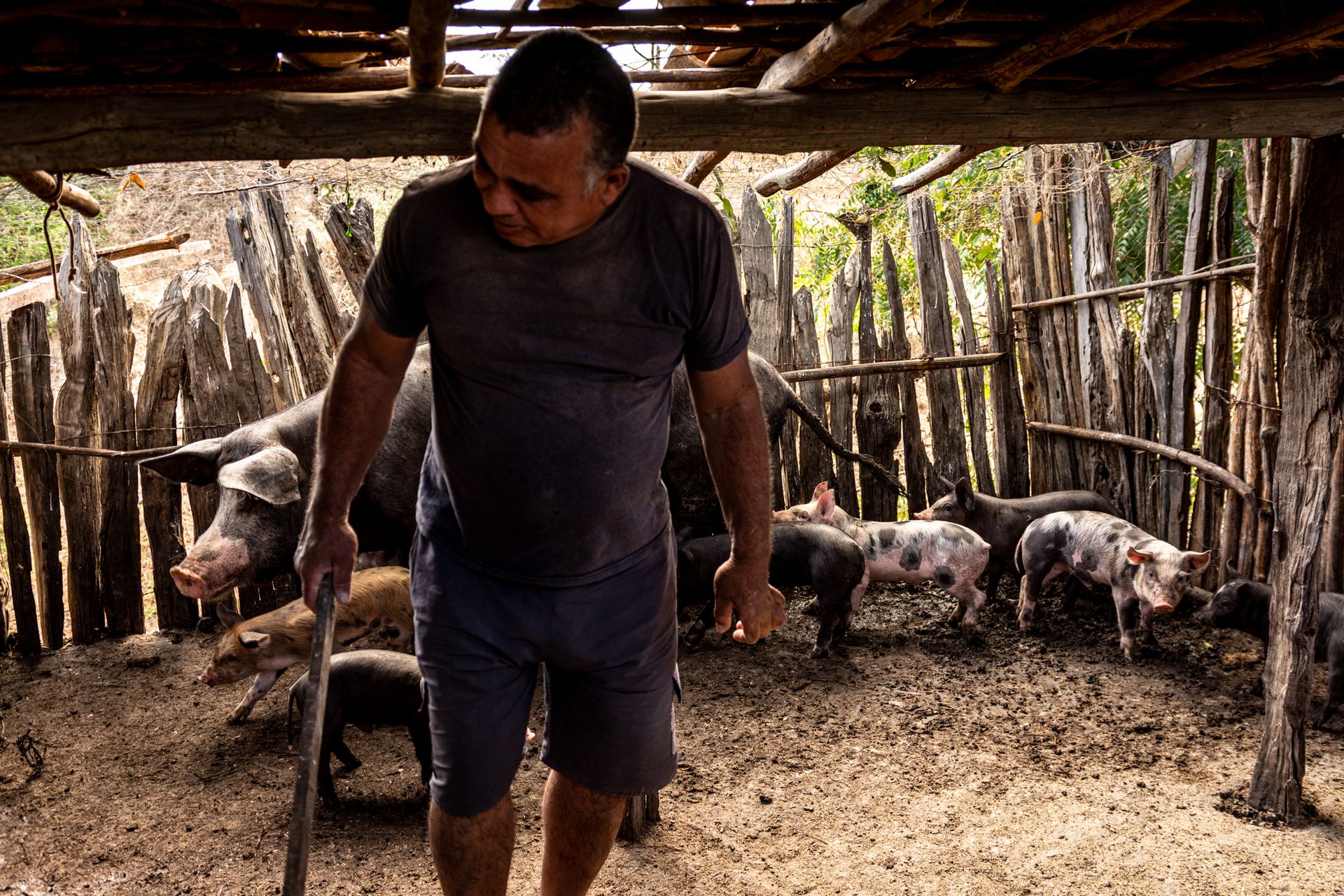 THE HUMAN AND ENVIRONMENTAL COST OF LITHIUM:A long-term investigation into the silent environmental and social challenges surrounding lithium extraction in Brazil, by Priscila Ribeiro. - 2 - 44