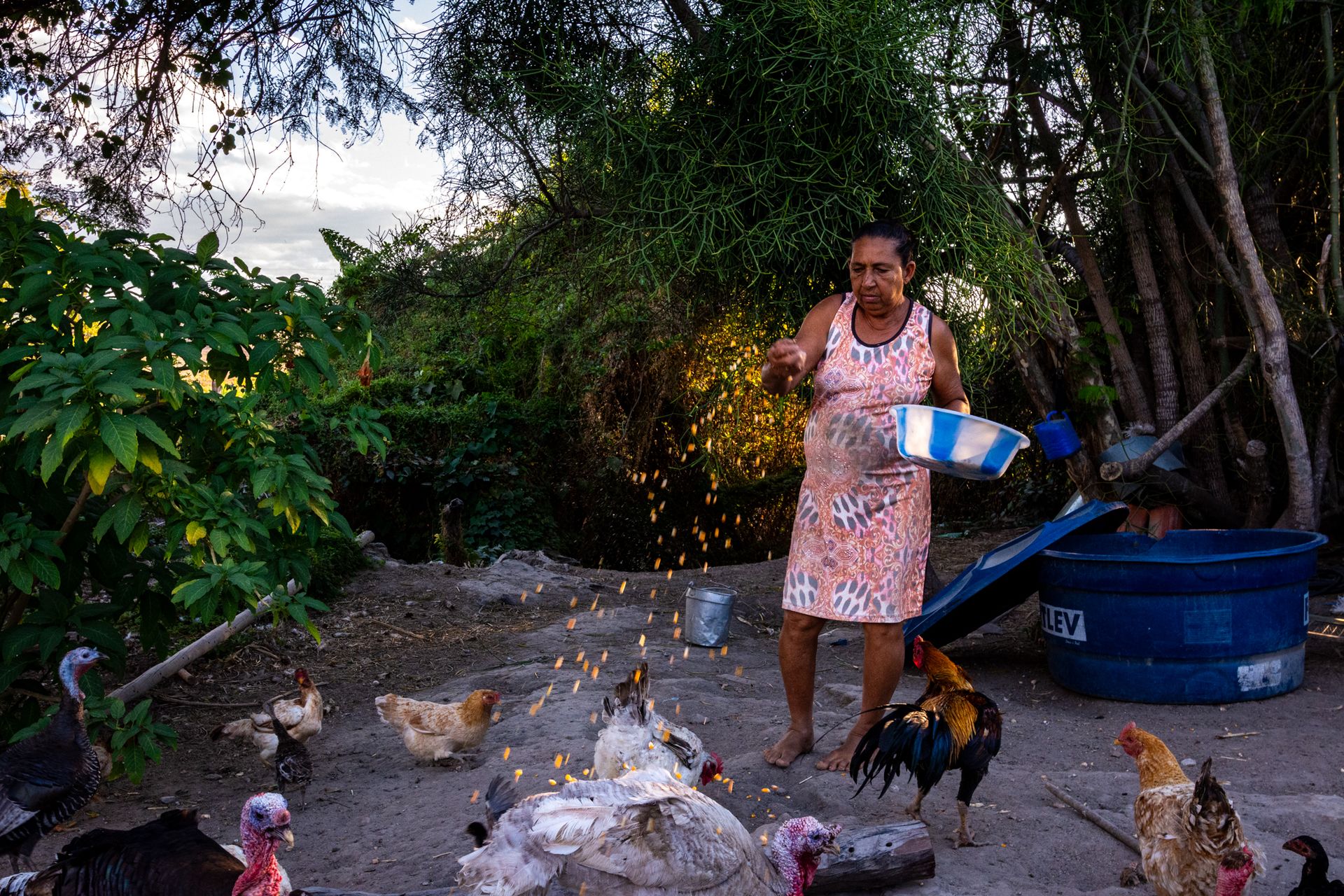 THE HUMAN AND ENVIRONMENTAL COST OF LITHIUM:A long-term investigation into the silent environmental and social challenges surrounding lithium extraction in Brazil, by Priscila Ribeiro. - 2 - 48