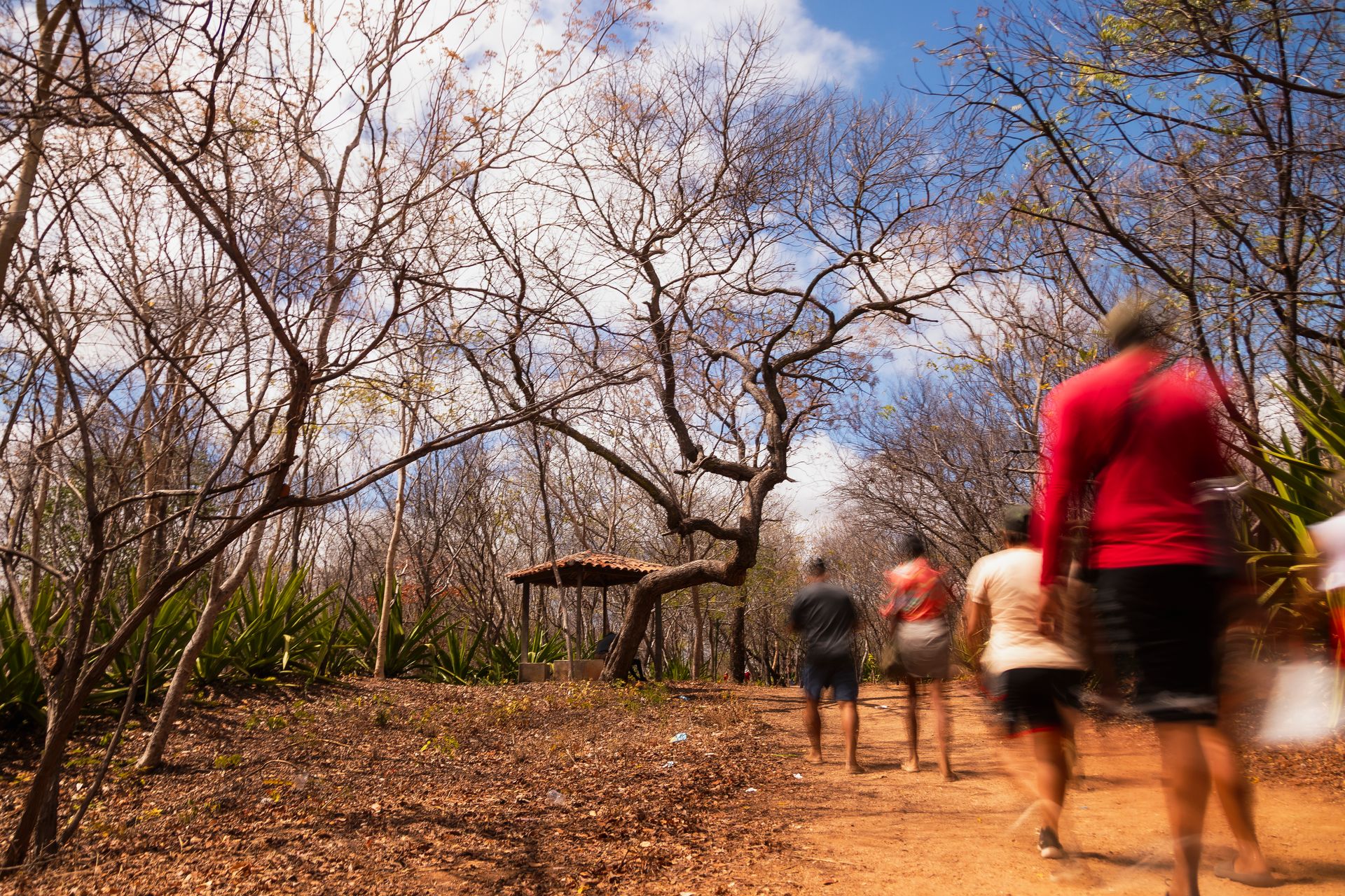 NORTHERN BRAZIL: IDENTITY UNDER CLIMATE PRESSURE a long term investivagion of silent effects of the new transformative landscape of the North of Brazil dealing with its endangered traditions, ecosystems and human stories by Nádia Borborema - 2 - 21