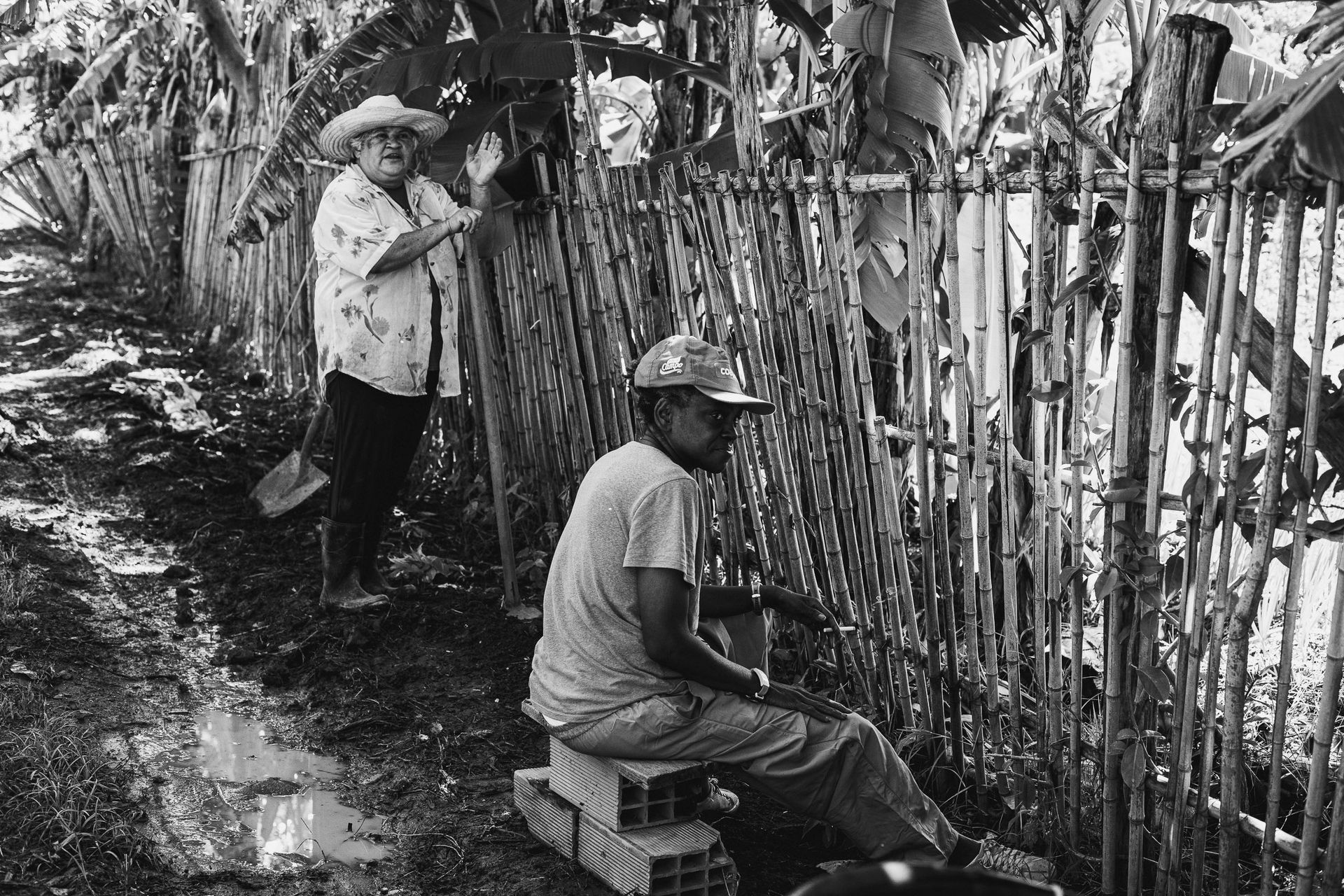 AGROECOLOGIA E AGROTÓXICOS : o Brasil bateu recorde no número de intoxicados com mais de 9 mil casos registrados. - 2 - 11