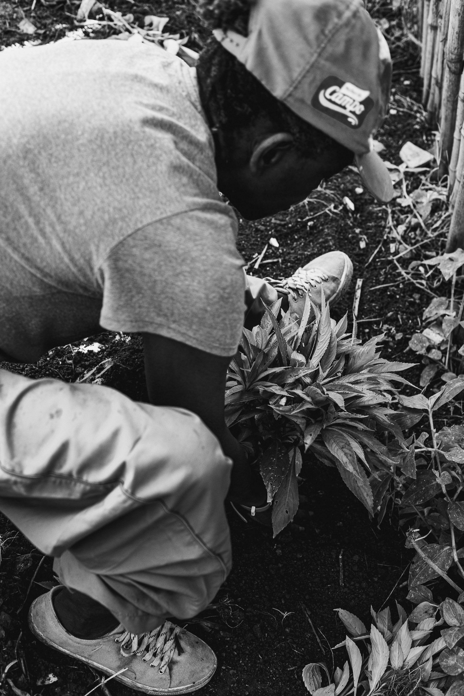 AGROECOLOGIA E AGROTÓXICOS : o Brasil bateu recorde no número de intoxicados com mais de 9 mil casos registrados. - 2 - 17