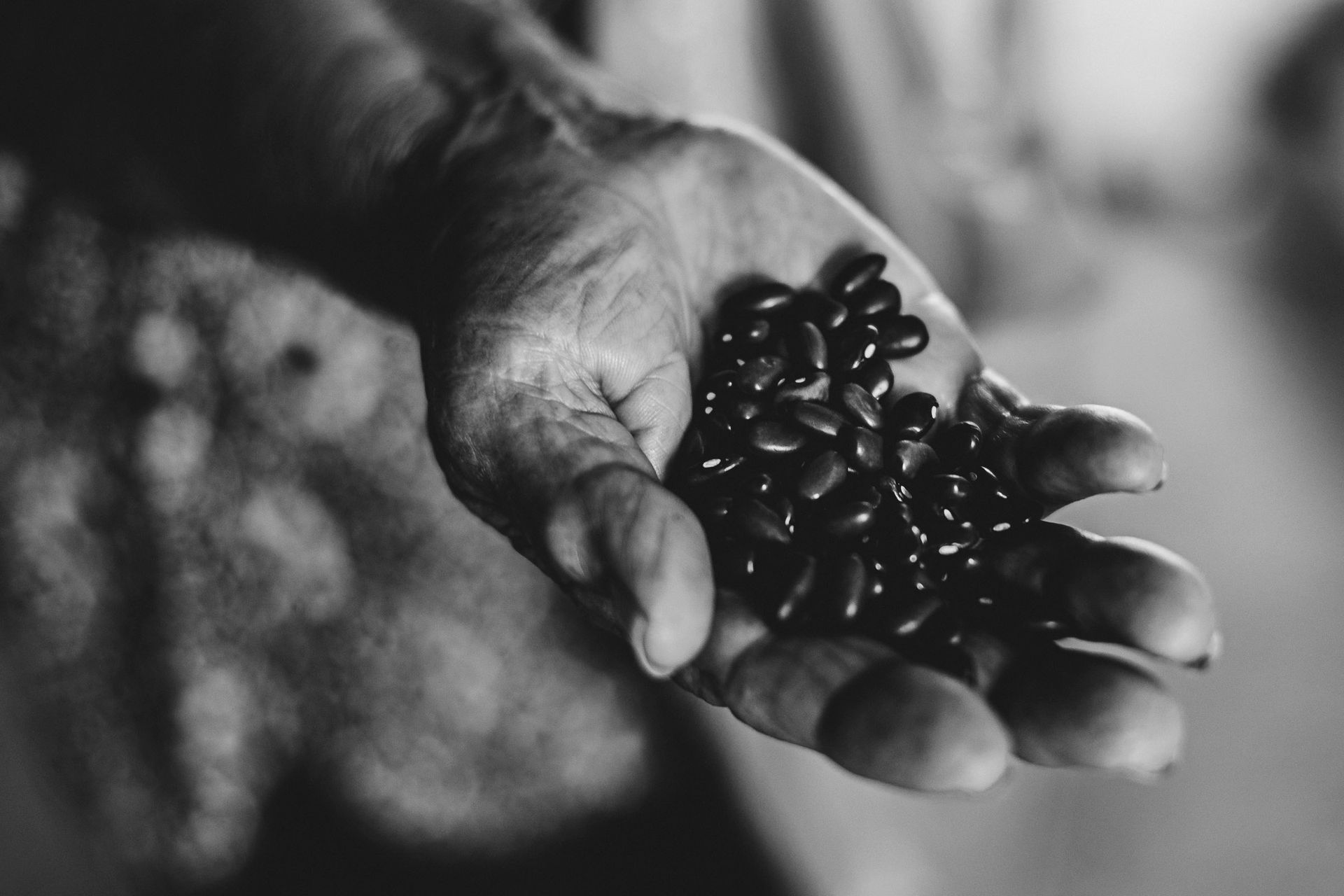 AGROECOLOGIA E AGROTÓXICOS : o Brasil bateu recorde no número de intoxicados com mais de 9 mil casos registrados. - 2 - 0