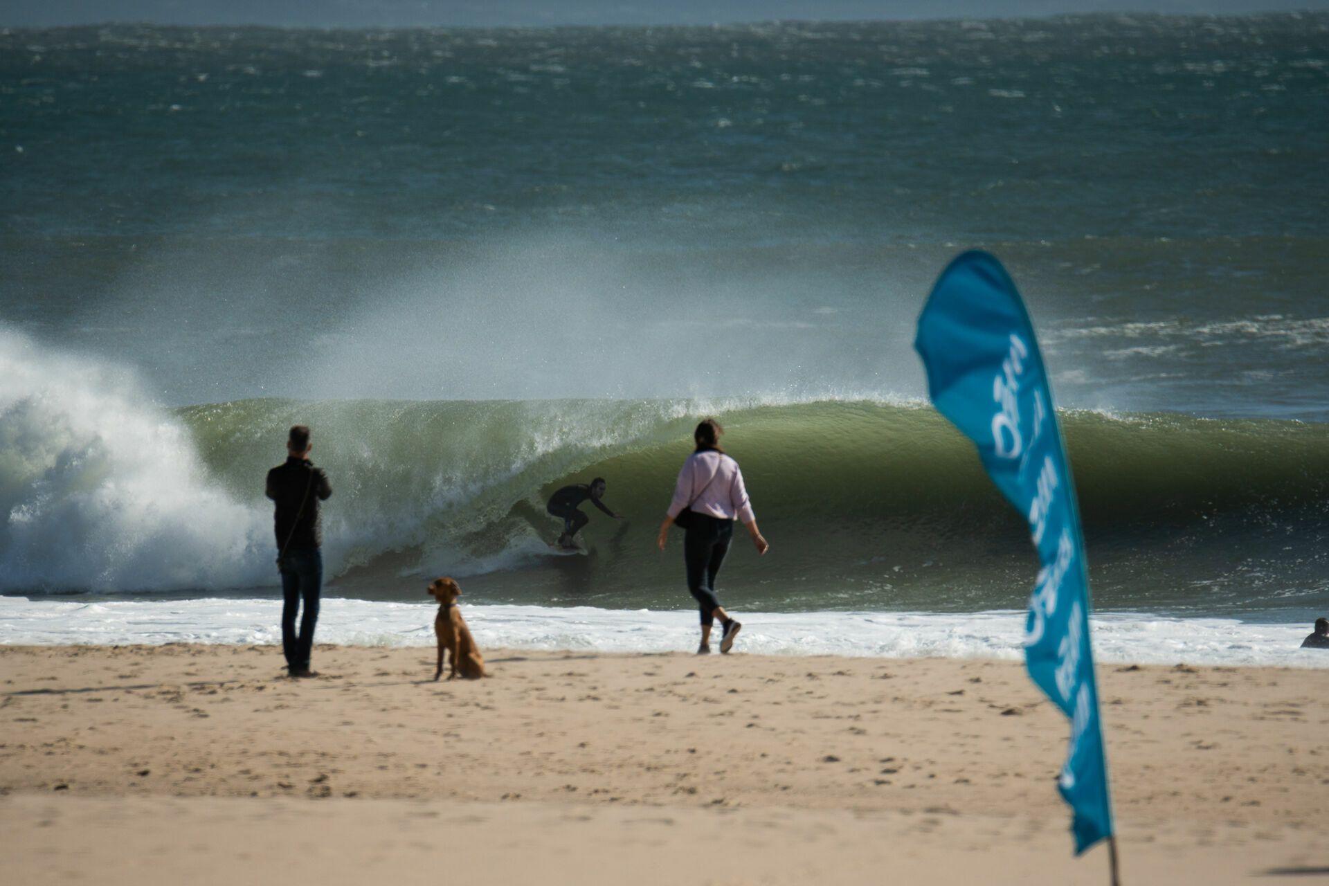 Capitulo Perfeito 2022 - 2 - 0