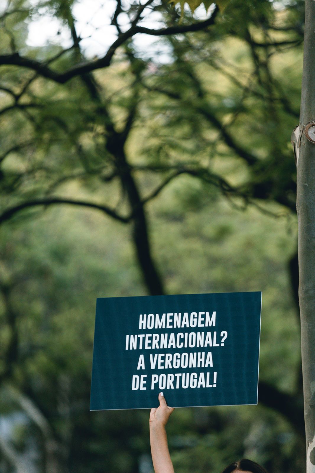 Manifestação IRA - 2 - 0