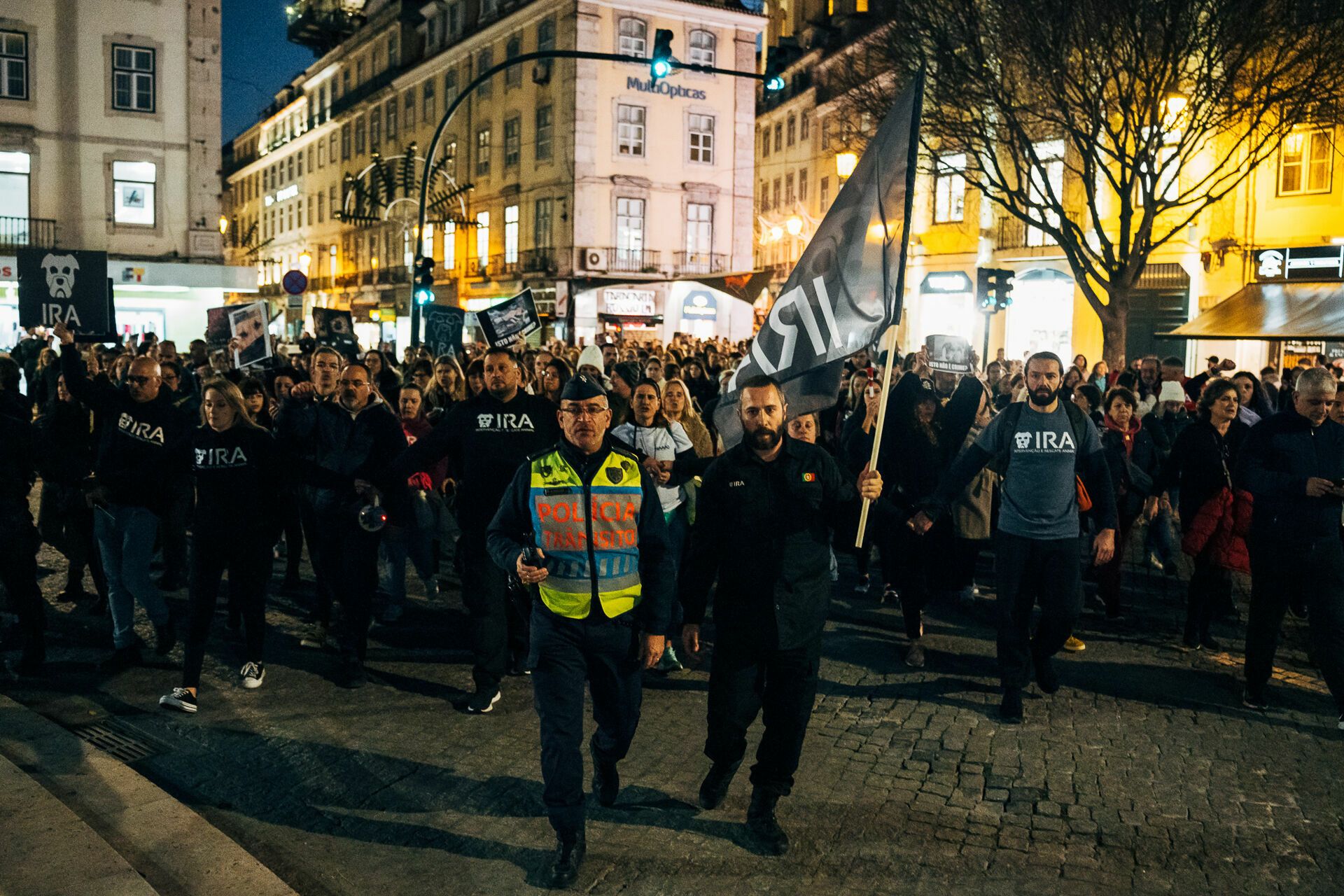 Manifestação De Defesa Animal - 1 - 0