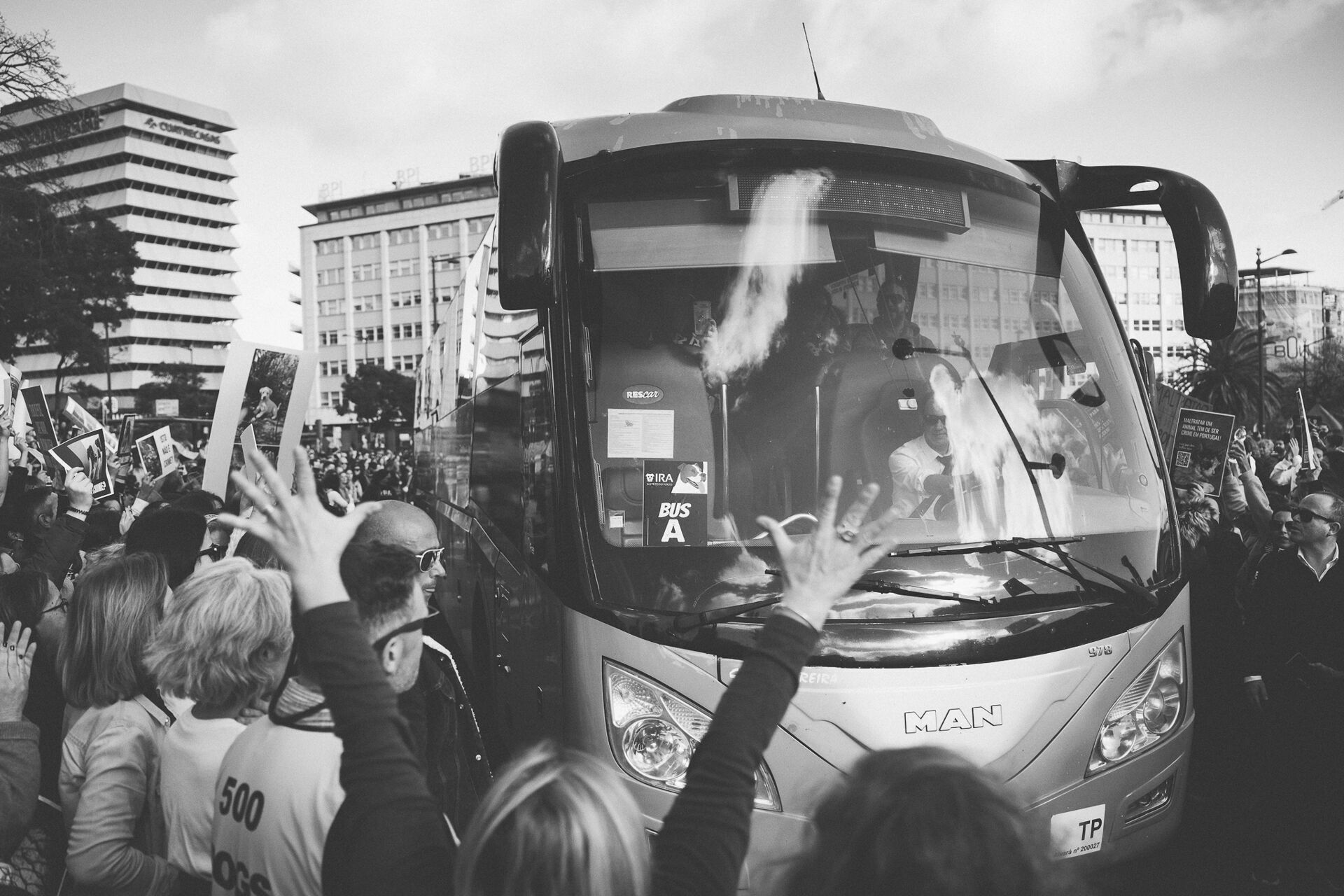 Manifestação De Defesa Animal - 1 - 0