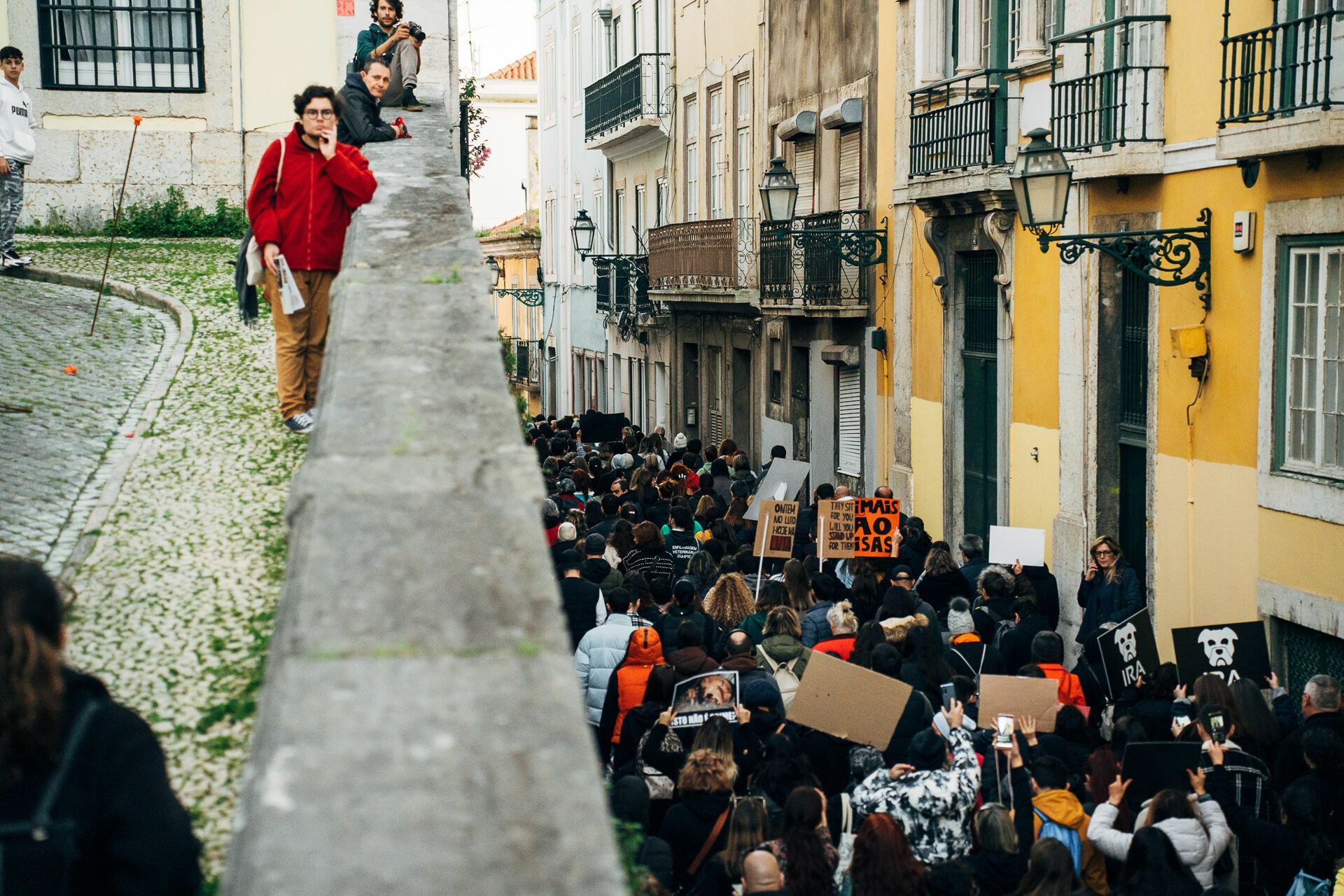 Manifestação De Defesa Animal - 1 - 0