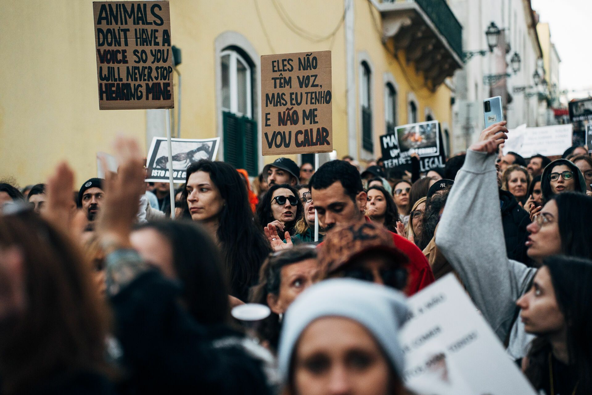 Manifestação De Defesa Animal - 1 - 0