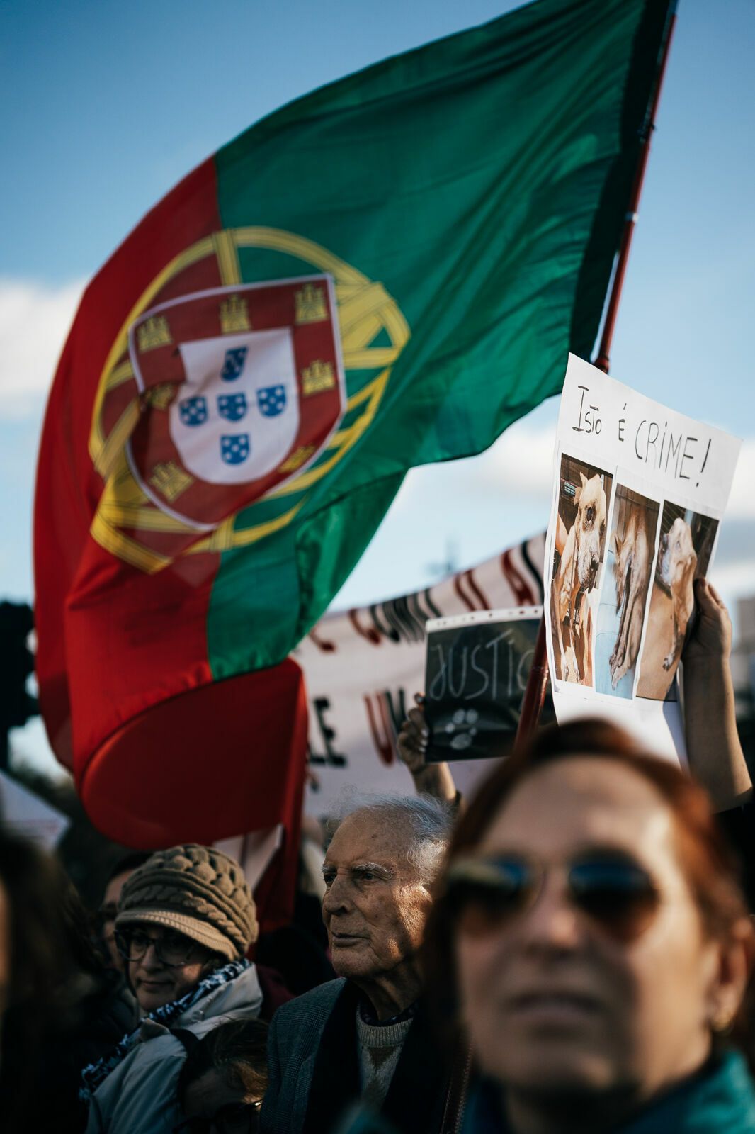 Manifestação De Defesa Animal - 1 - 0