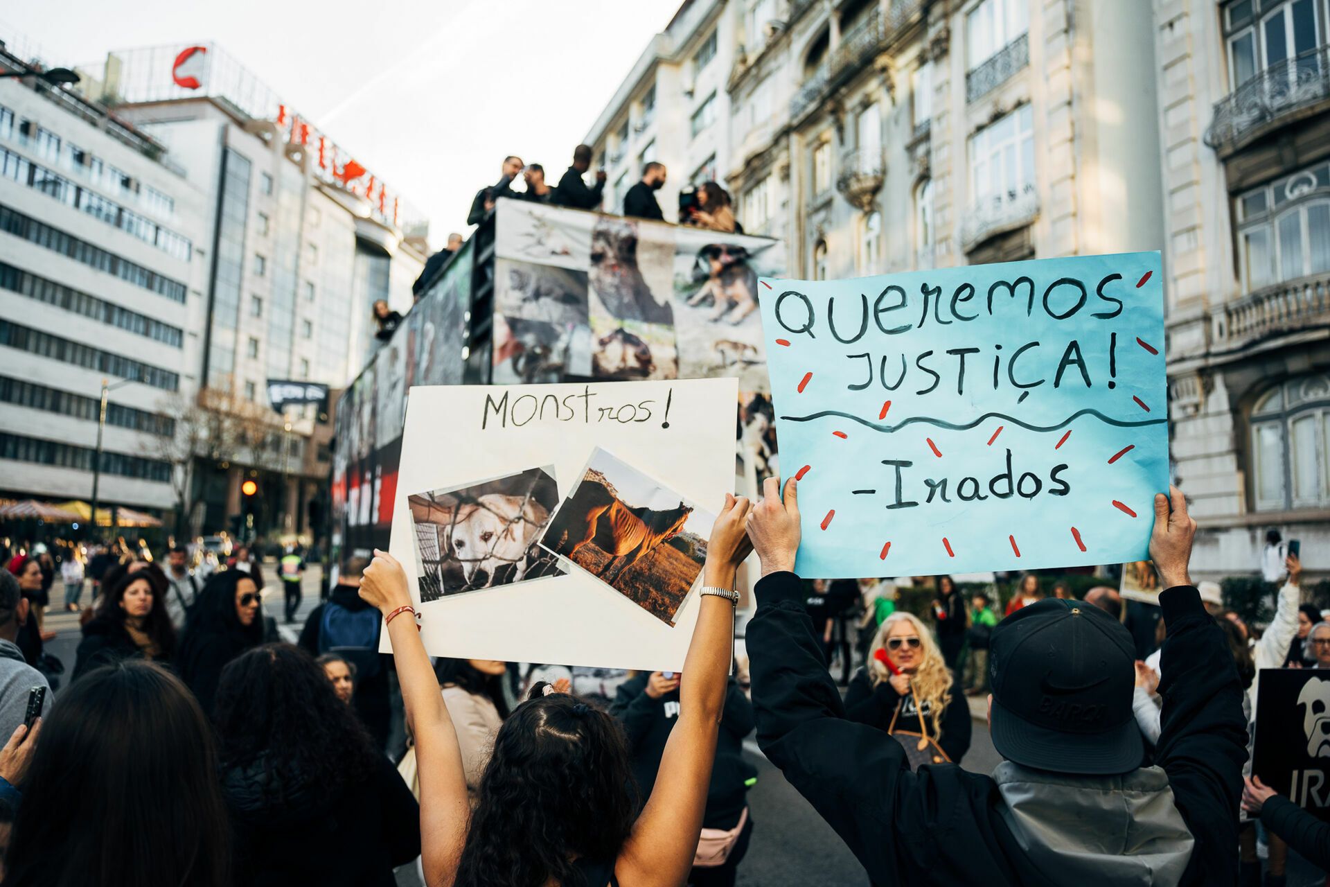 Manifestação De Defesa Animal - 1 - 0