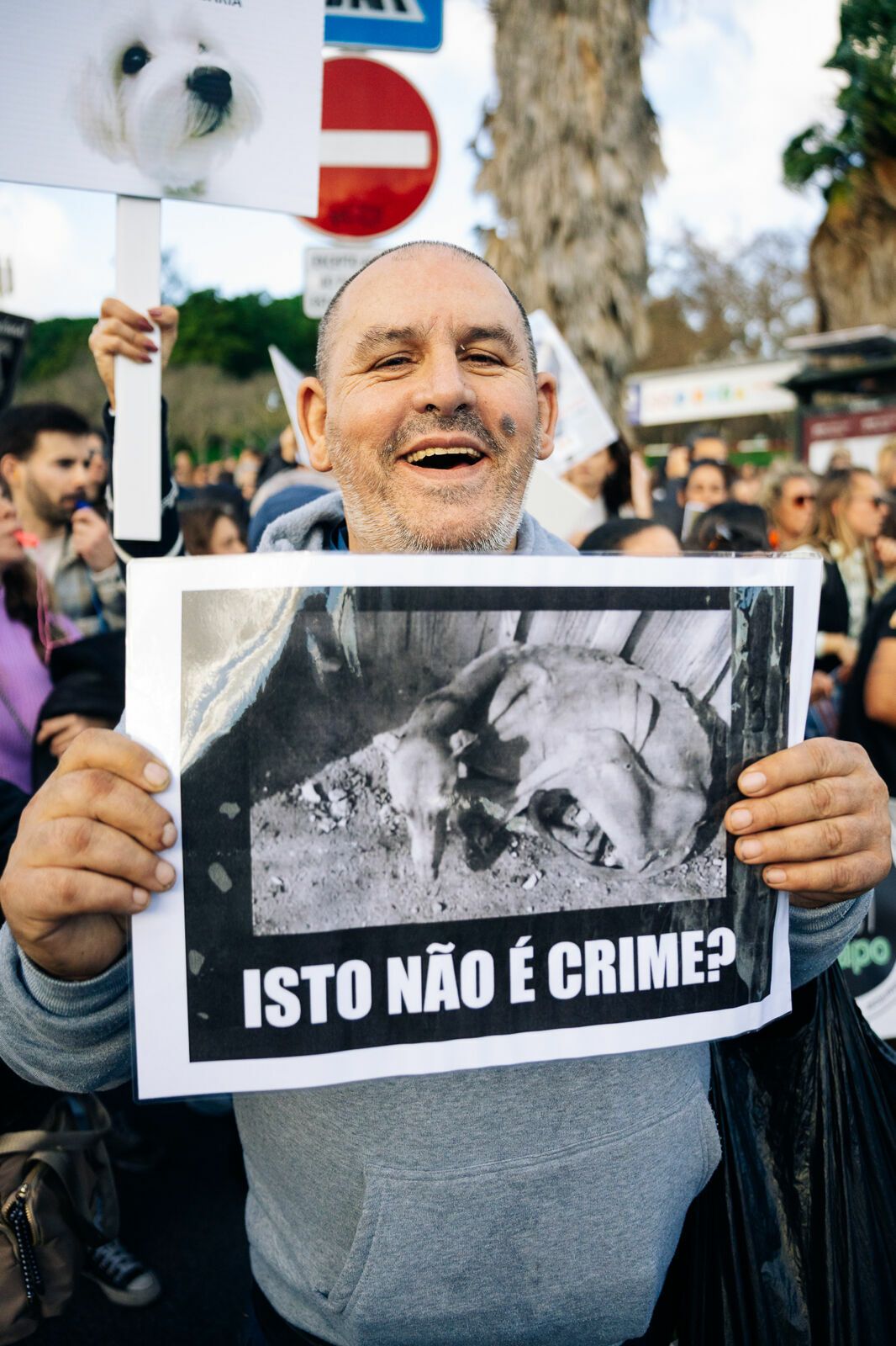 Manifestação De Defesa Animal - 1 - 0